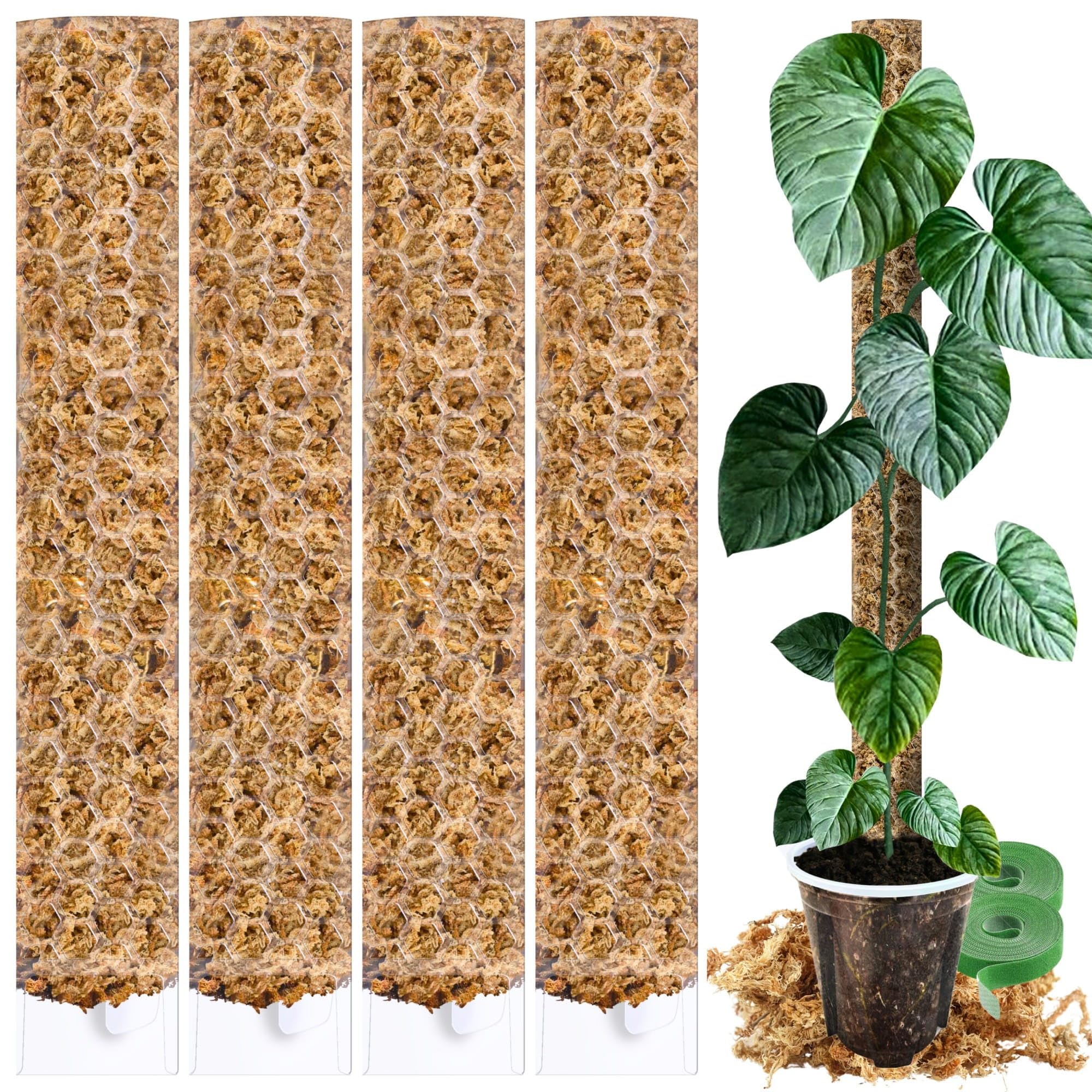 Tutore in Muschio XL per Monstera 4 Pezzi 63 x 9,5 cm - Supporto Estensibile e Set Accessori - Pali per Piante con Velcro e Substrato Speciale di Muschio - Ottimizzato per Aroidi