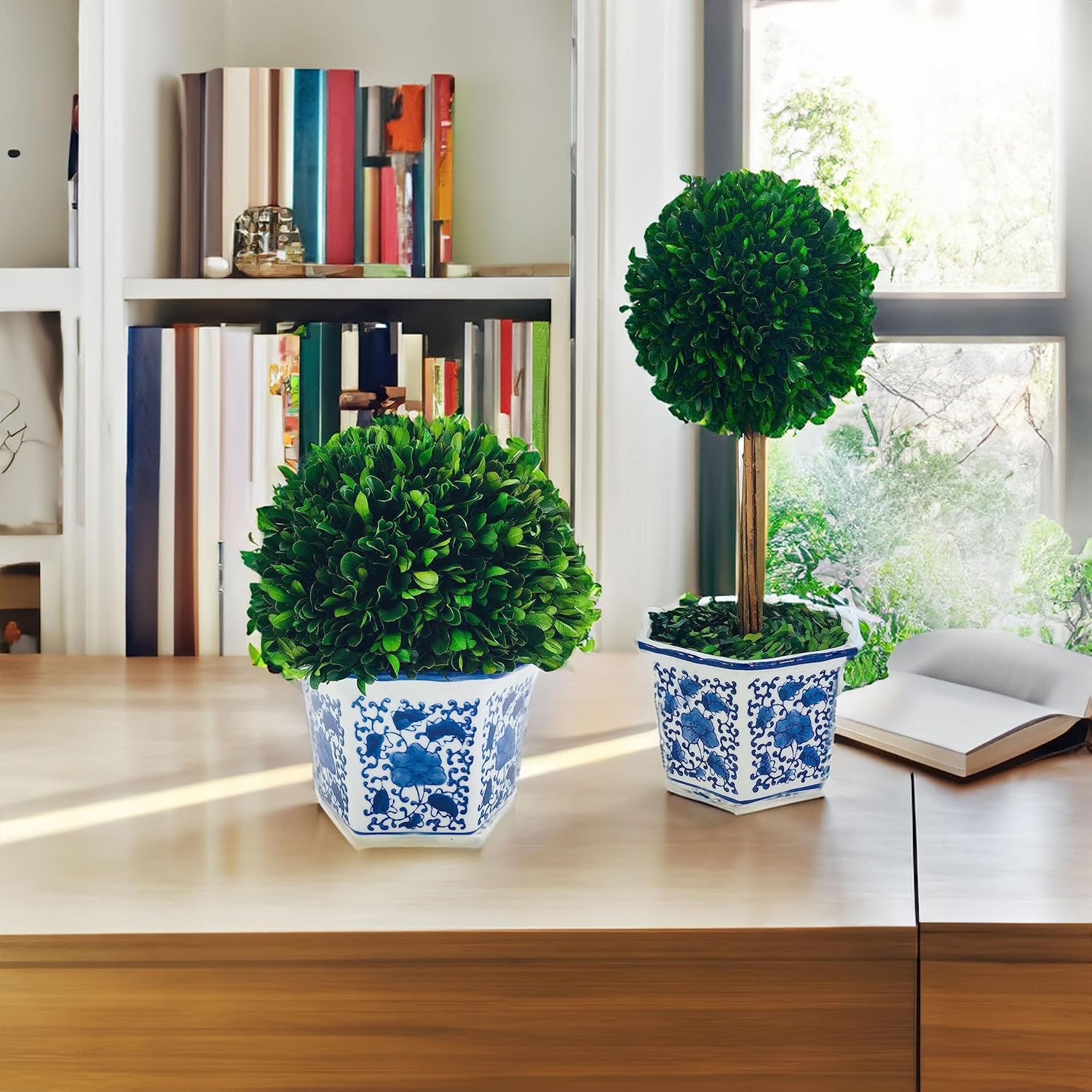 Galt International Naturally Preserved Boxwood Topiaries in Blue & White Ceramic Pot 11" Ball & 19" Tree Topiary