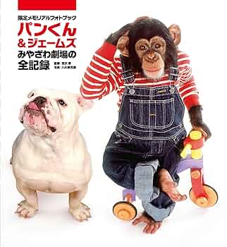 Pankun and Jemus miyawazagekijou no zenkiroku (Japanese Edition