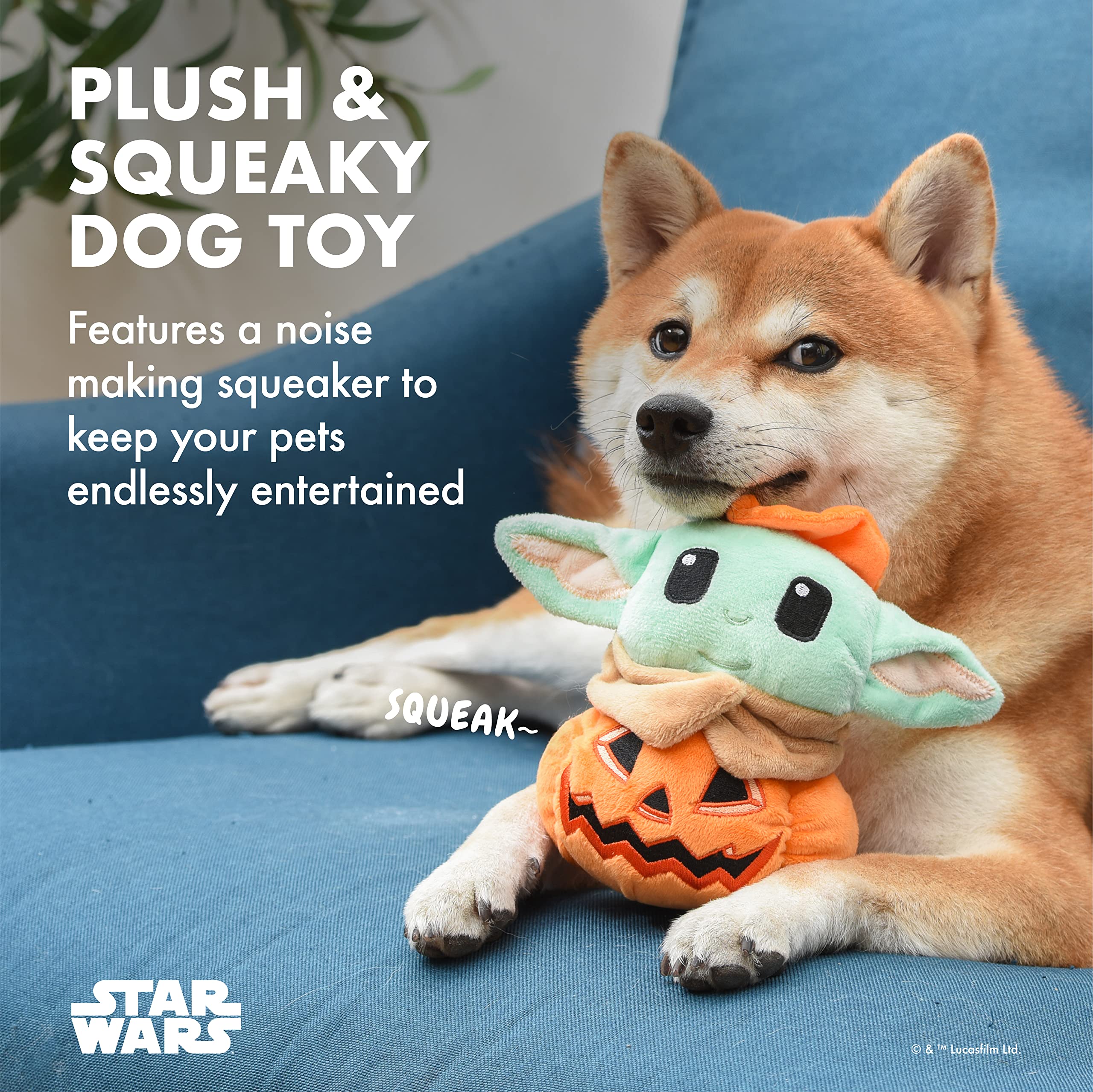 Star Wars Hundespielzeug Grogu Halloween Hundespielzeug Kürbiskopf,Kleine Hundespielzeug, Quietschendes Hundekauspielzeug Mandalorian Das Kind Hundespielzeug Plüsch, 6 Zoll
