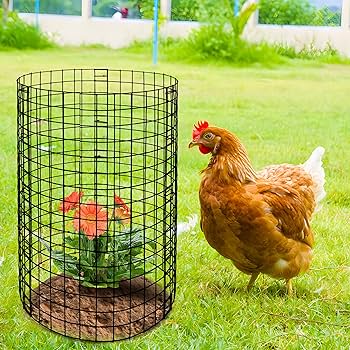 ケージ・アクセサリー ann Amazon.com : Adnee 10 Packs Wire Plant Protector from