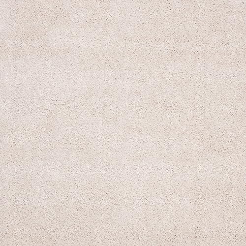 Miniatura 6 de Safavieh August Shag Collection AUG900A - Alfombra moderna o contemporánea de peluche, 10 pies x 14 pies, Polipropileno, Beige