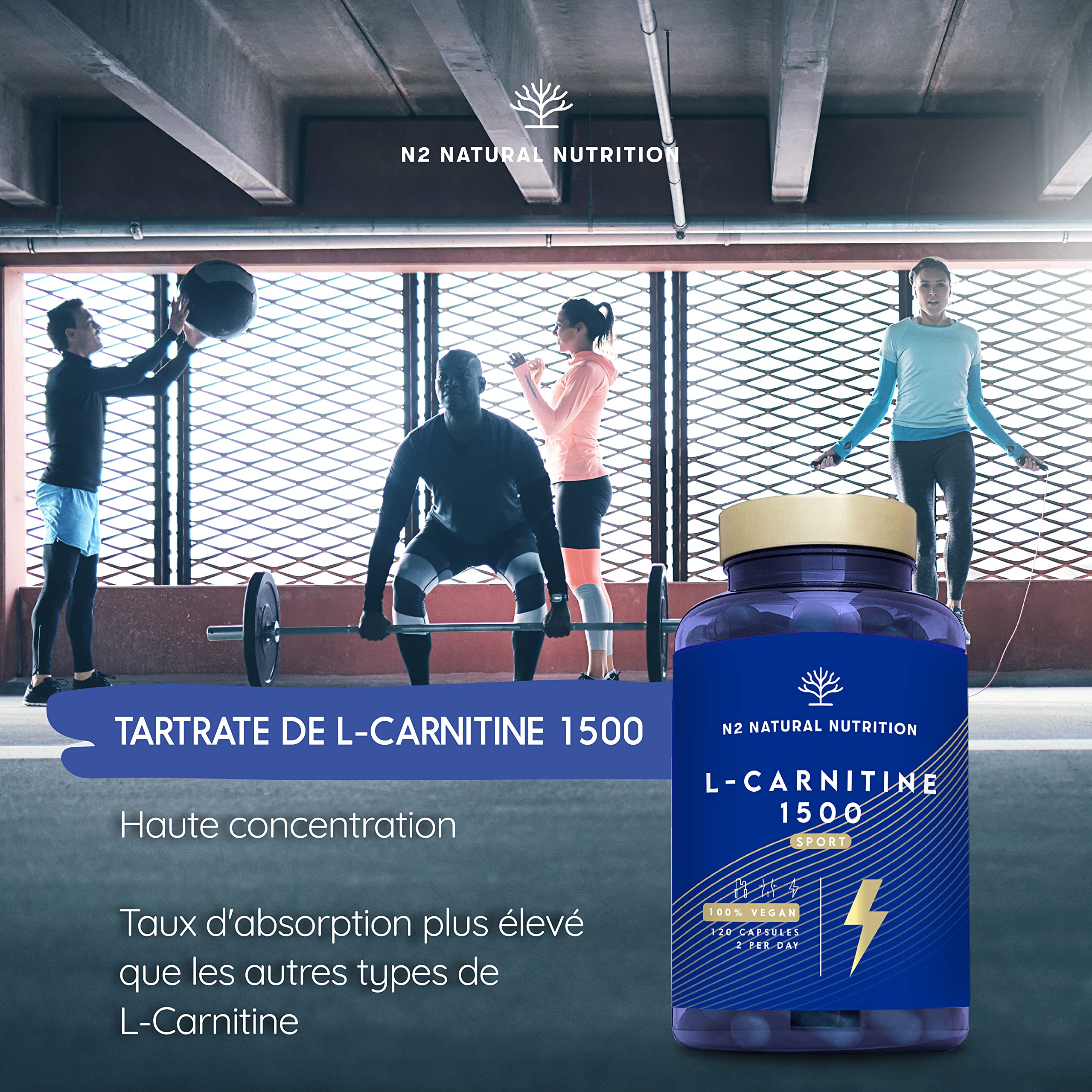 l-carnitine hardening arteries Comparison of short-term and long-term effects of peroral L-carnitine  intake: clinical implications of elevated TMAO levels in cardiovascular  complications