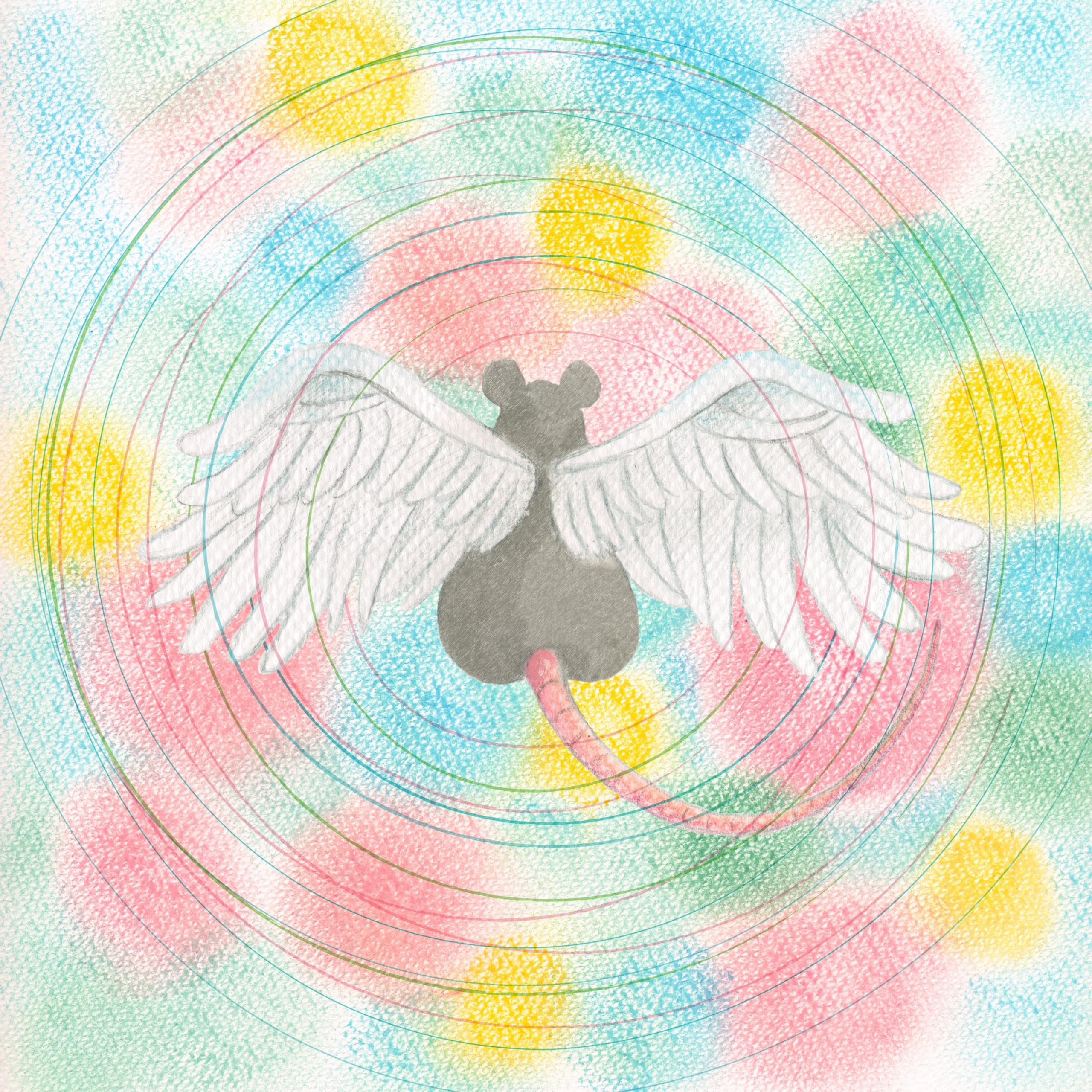 Amazon.co.jp: ANIMARU (輸入盤): ミュージック