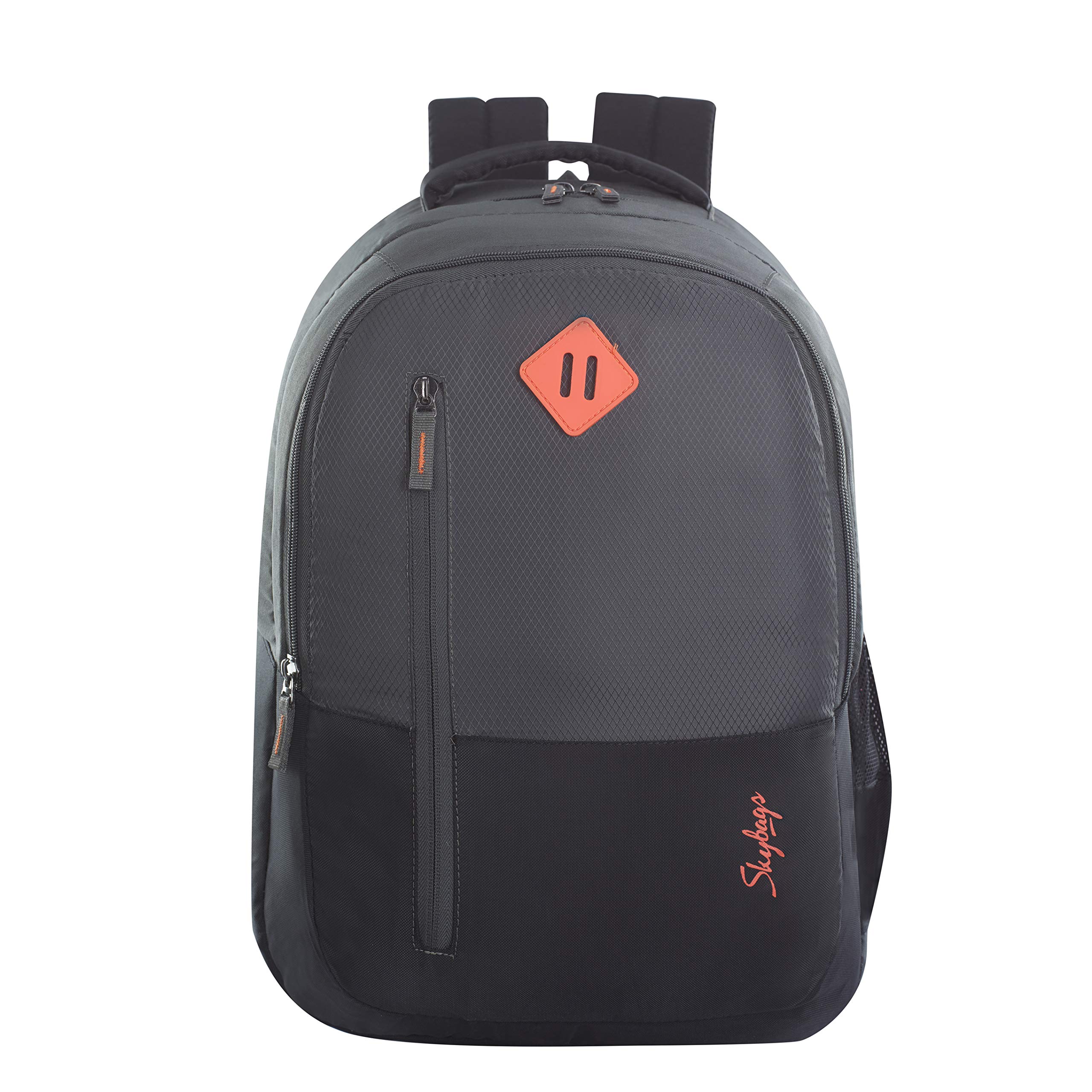 SkybagsArthur 30 L 4 Compartment Laptop Backpack (Grey), Free Size (PLBPARTHGRY), Grey, Free Size, laptop bags