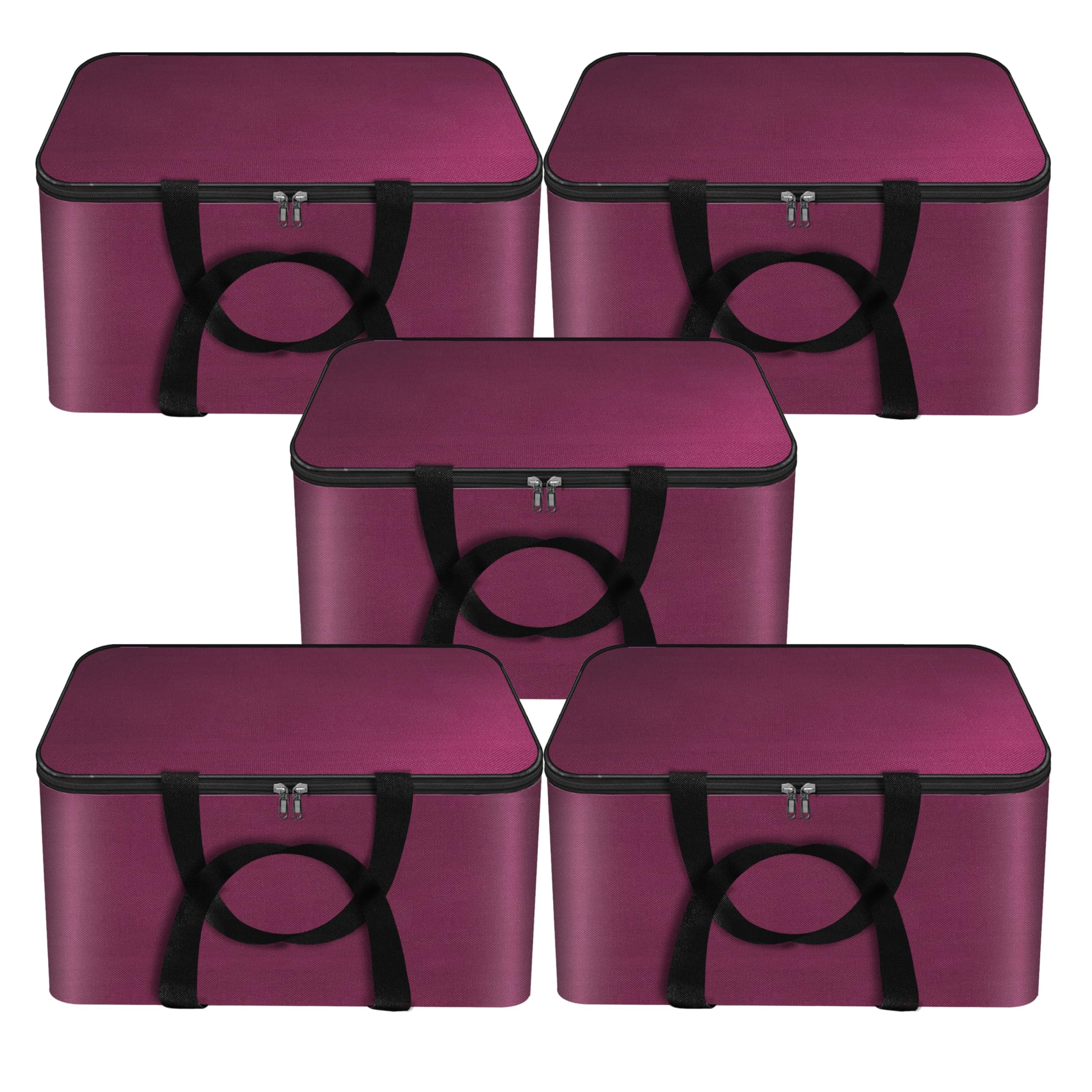 Storite 5 Pack Small Wardrobe Bag Underbed Cloth Storage Organizer Bag