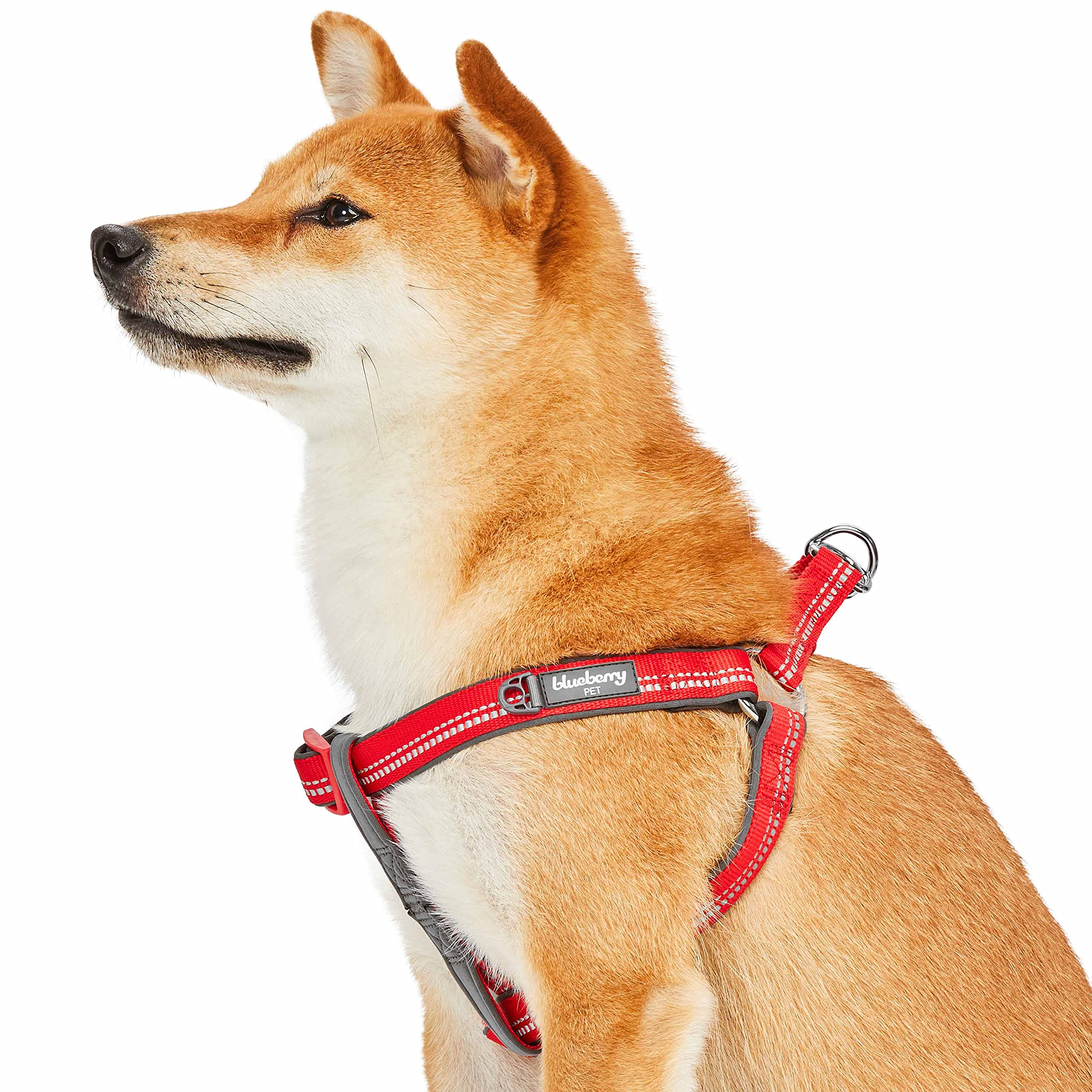 Harnais pour chien rouge moyen Blueberry Pet rembourré doux 51-66cm