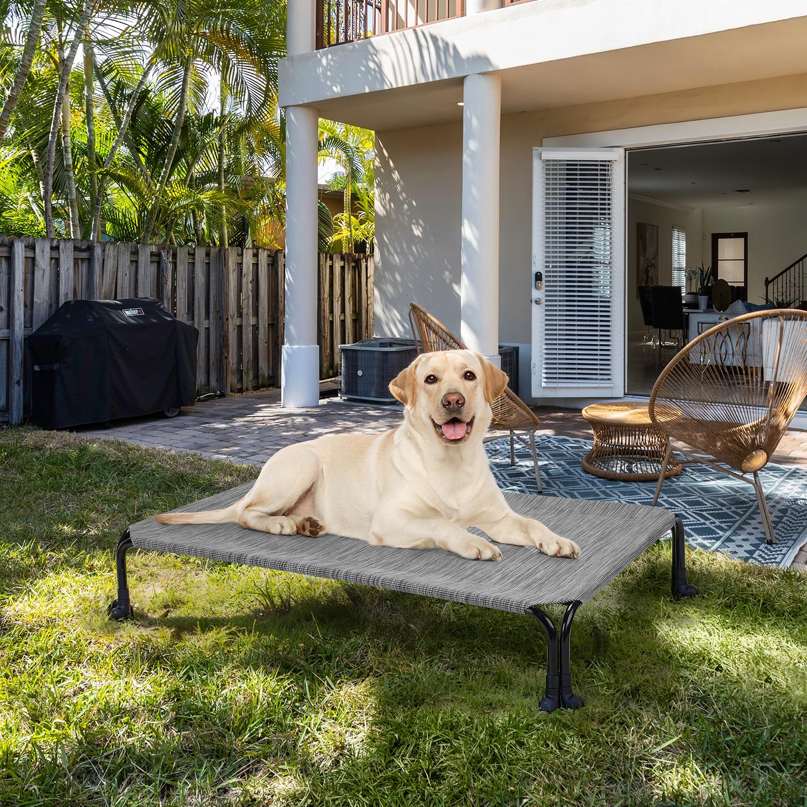 高さのある犬用ベッド + 取り外し可能なふわふわのピロートップマット