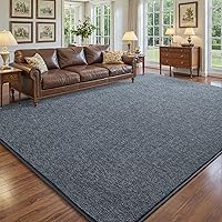 Vista 16 de DweIke Alfombras modernas para sala de estar, dormitorio, alfombra gris gruesa de espuma viscoelástica de 4 x 6 pies, alfombra súper suave