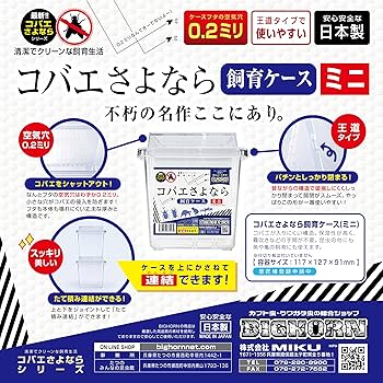 01112 カタゾウムシ　10種セットＢ 01112 カタゾウムシ 10種セットB Yahoo!オークション