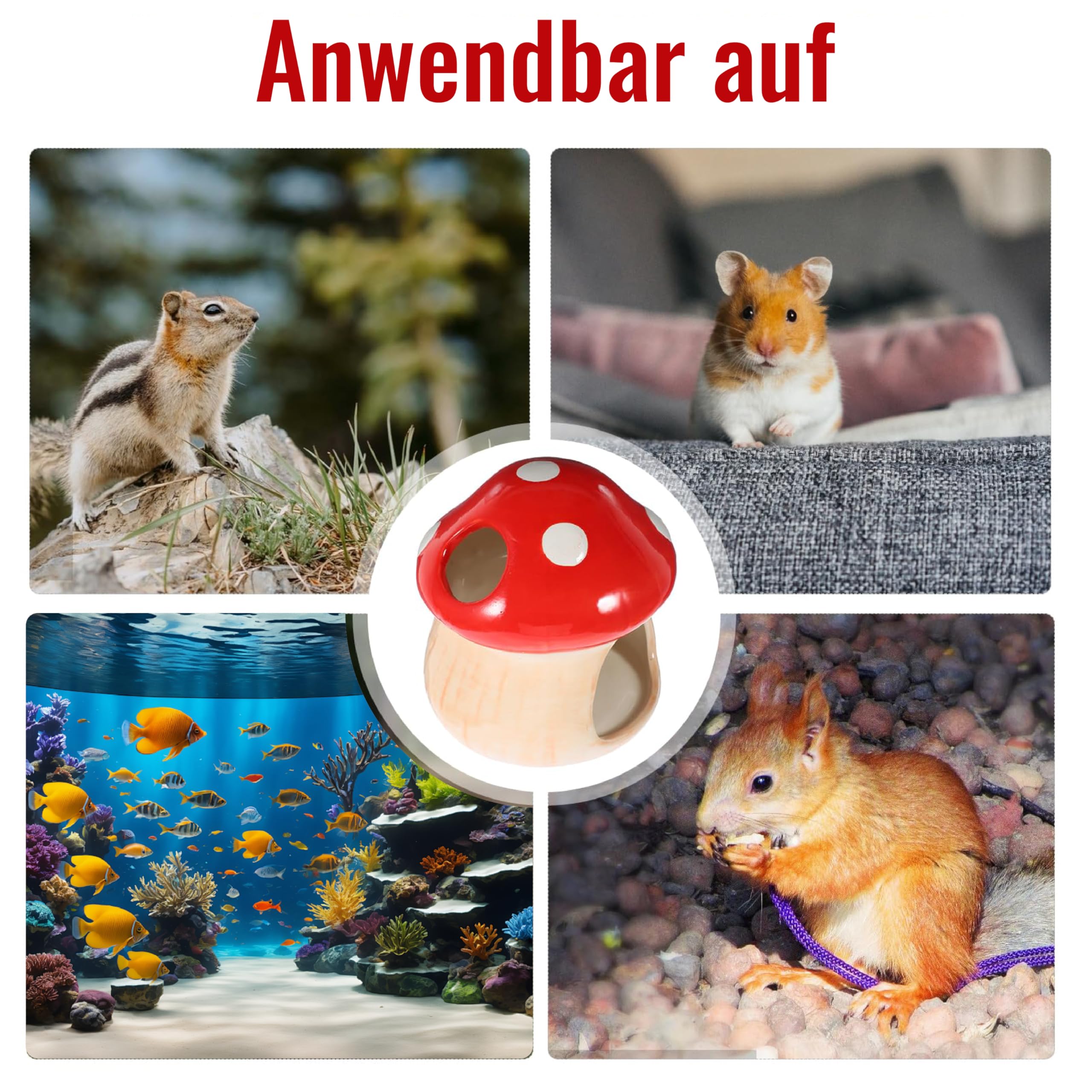 Maison en céramique pour hamster, hamster unique, cachette en céramique, en forme de champignon, pour gerbilles, souris, chinchillas (petite taille)