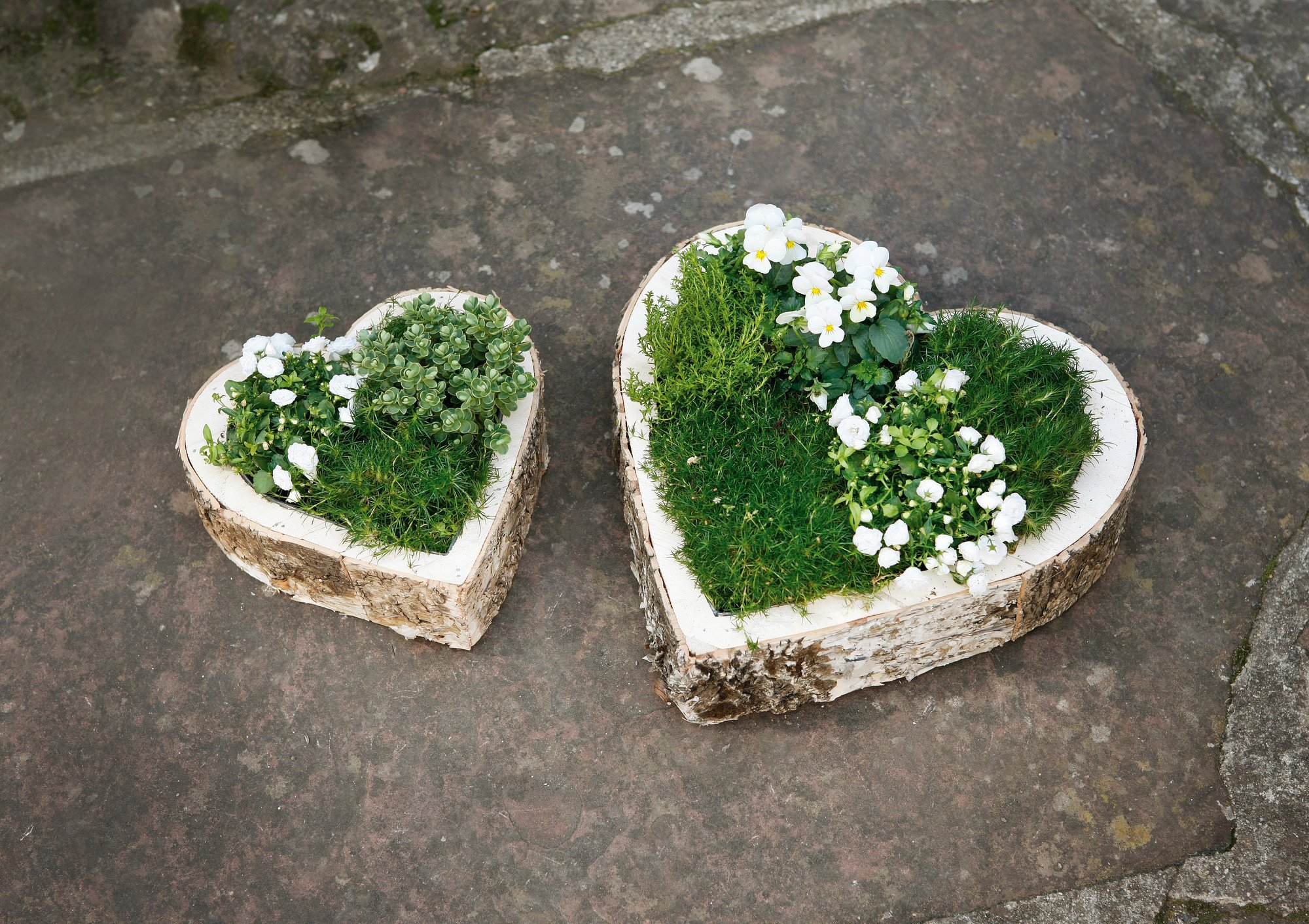 FRANK FLECHTWAREN Croix En Bouleau, Décoration Décoré De Baies