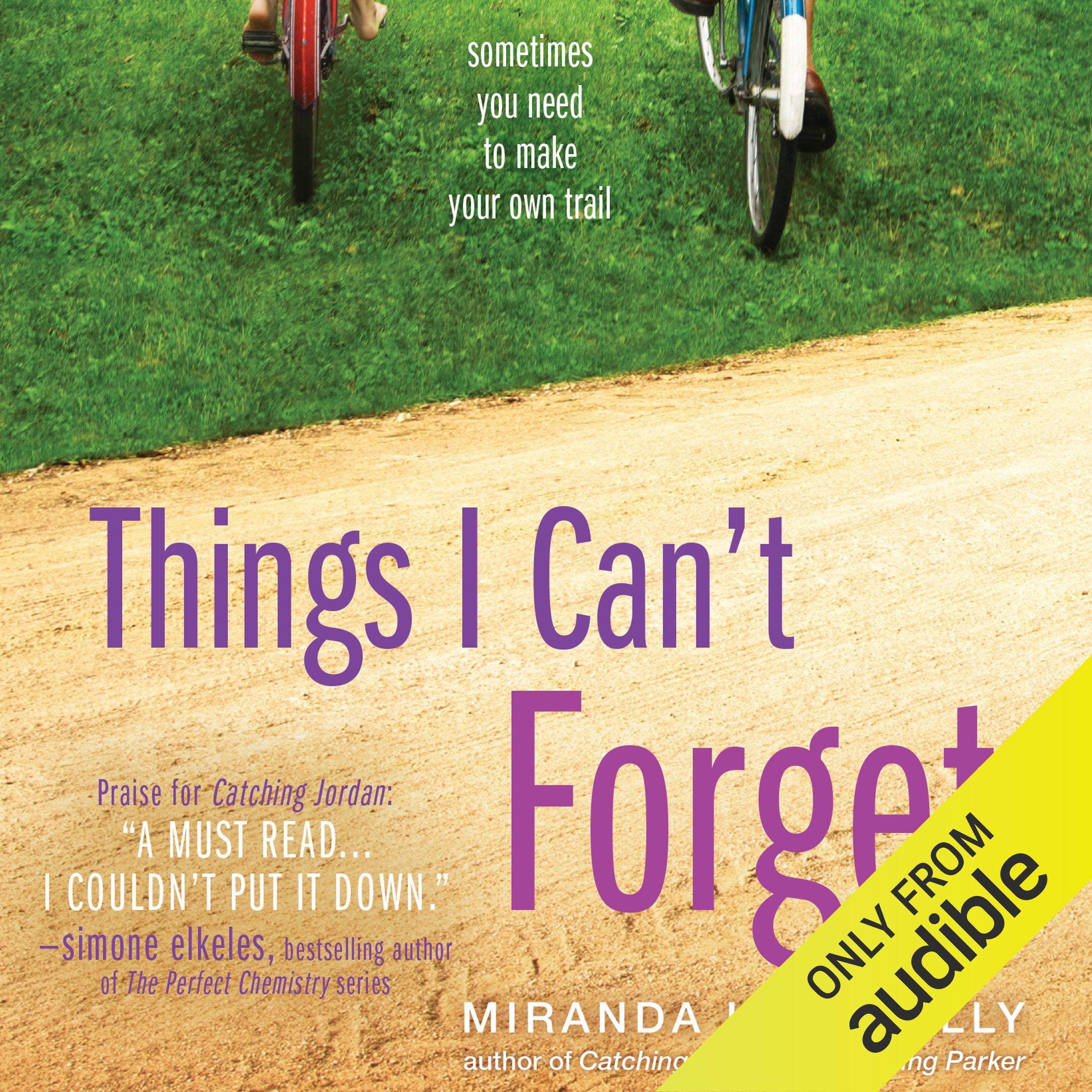 Cover art for Things I Can't Forget