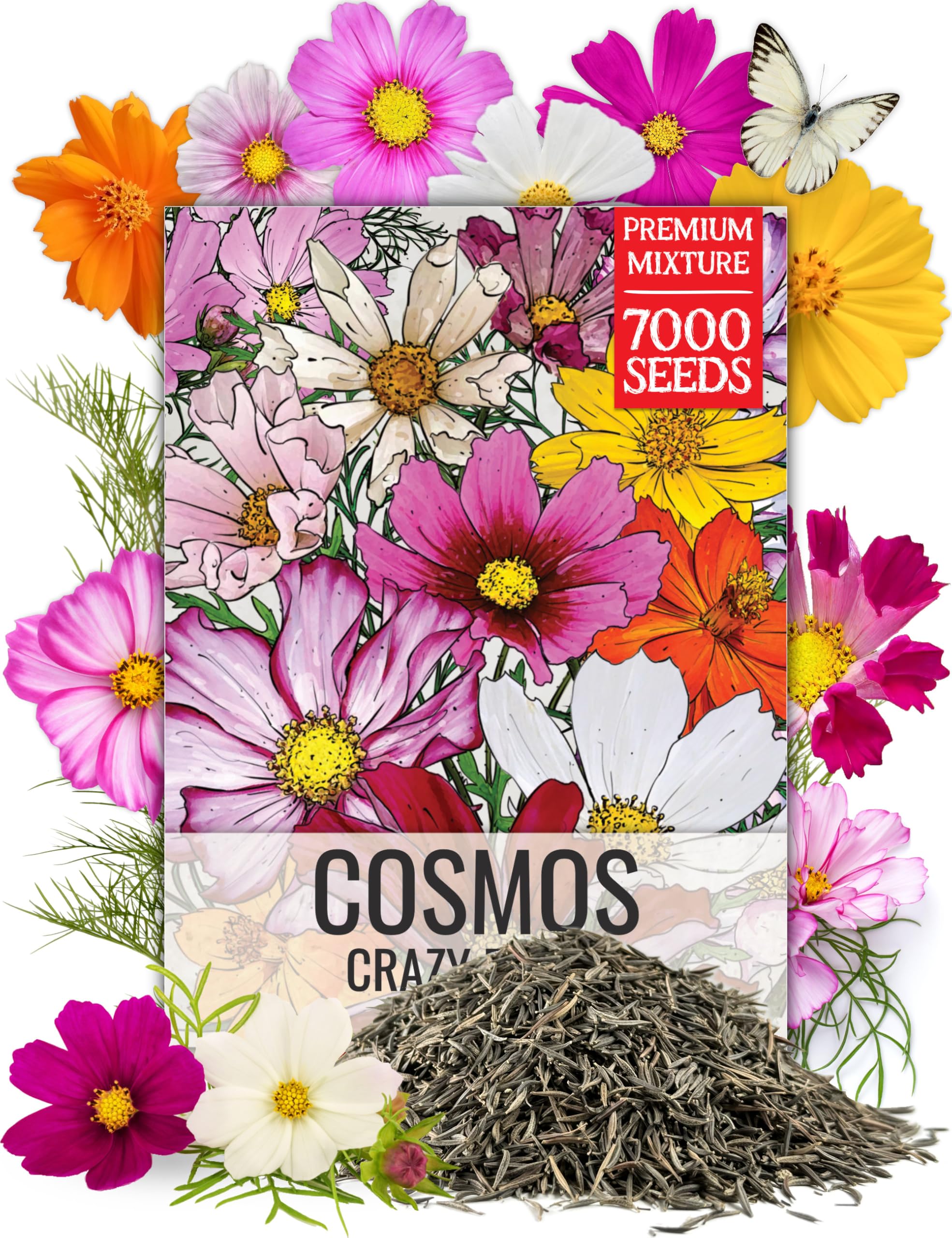 Seed Needs Wildflower Seeds Cosmos Crazy Blend 1.5 Ounce No Filler | 10+ Varieties Including Seashells, Purity & Candystripe | Cosmo Bipinnatus Open Pollinated Untreated | Bulk Resealable Packaging