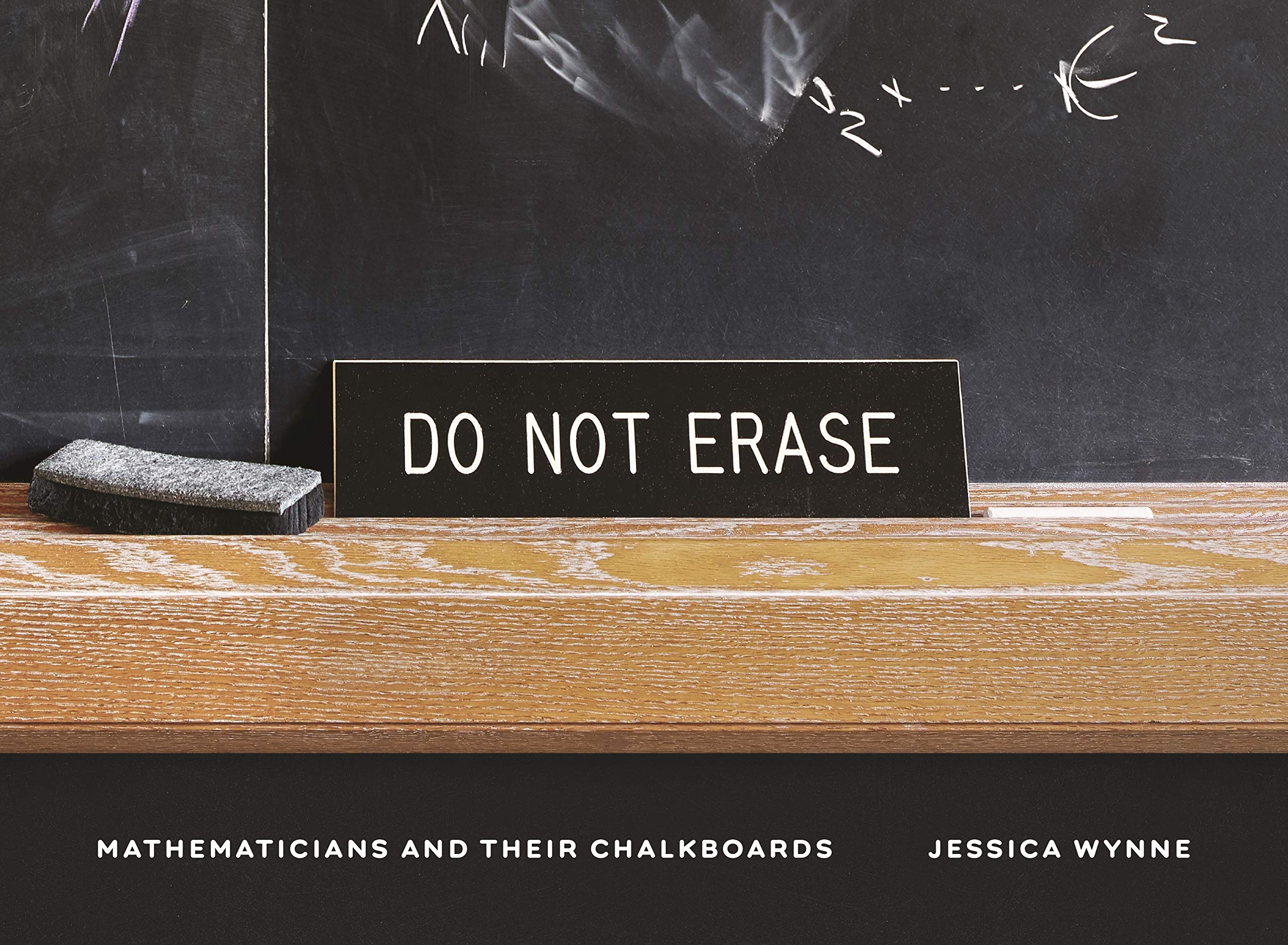 Do Not Erase Mathematicians Chalkboards livre photographie essai mathématiques anglais