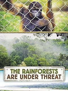 The Rainforests Are Under Threat
