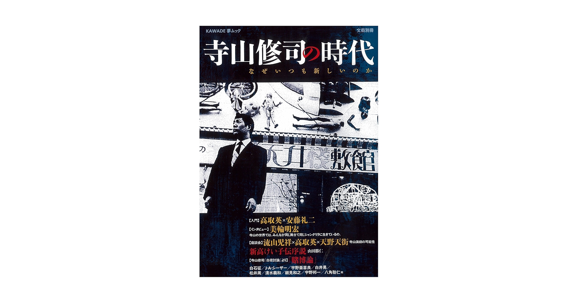 寺山修司 25冊セット（＋2冊重複） 寺山修司 25冊セット（＋2冊重複）