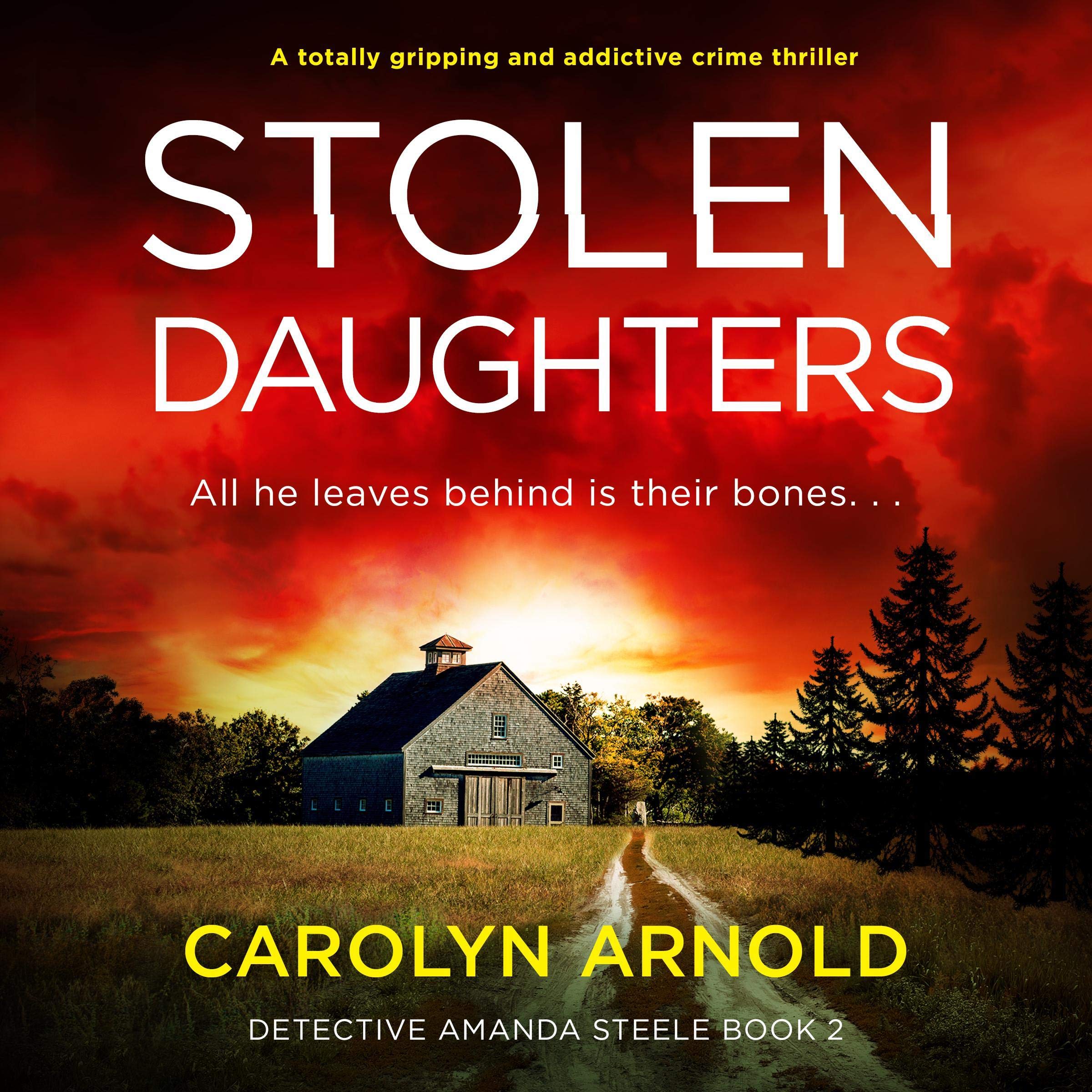 Cover art for Stolen Daughters