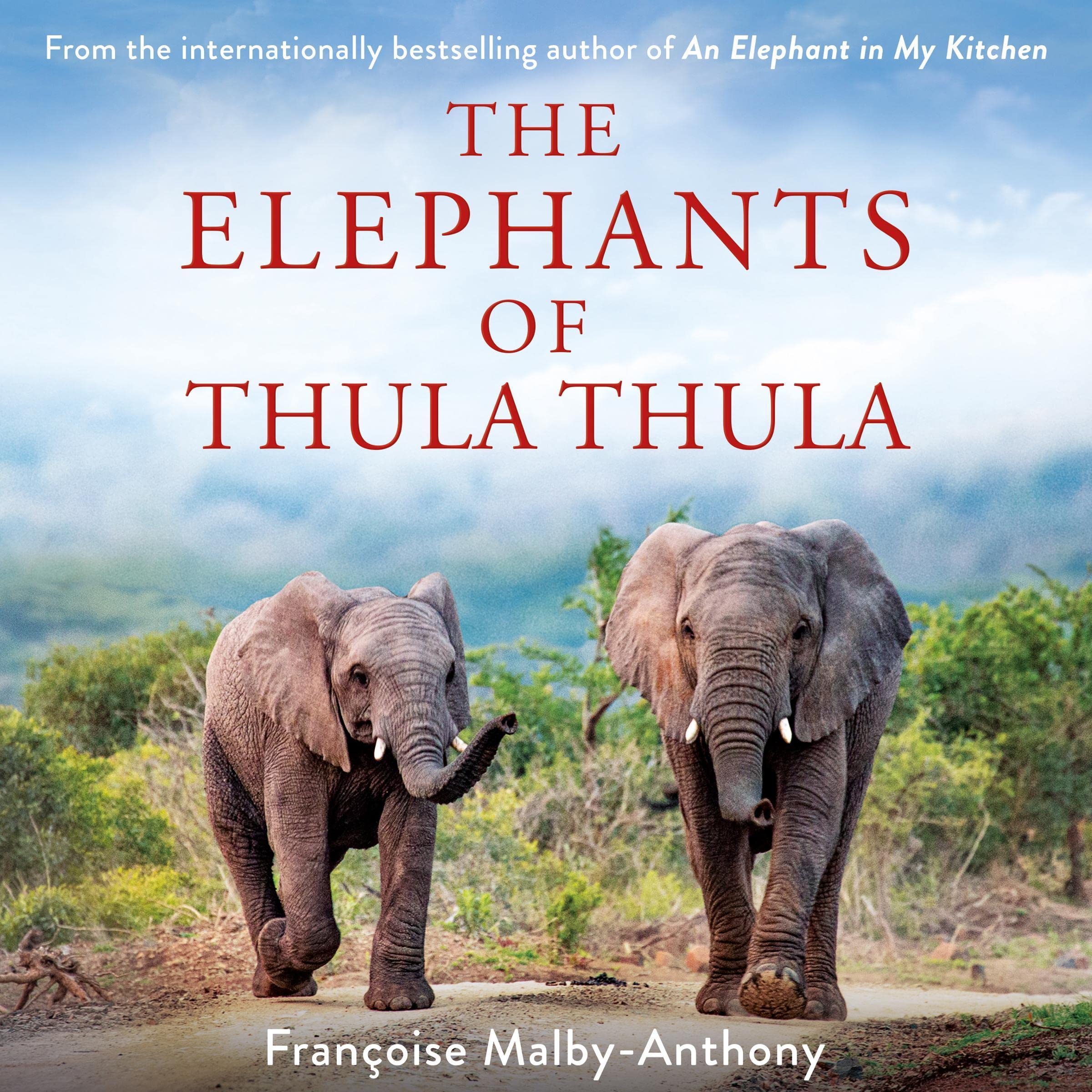 Cover art for The Elephants of Thula Thula
