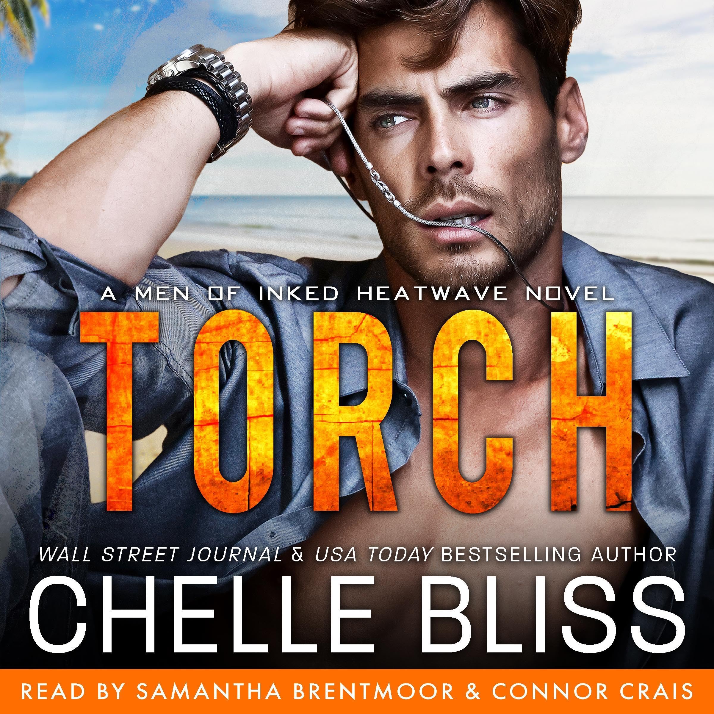 Cover art for Torch