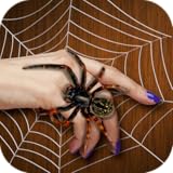 Spider On My Hand