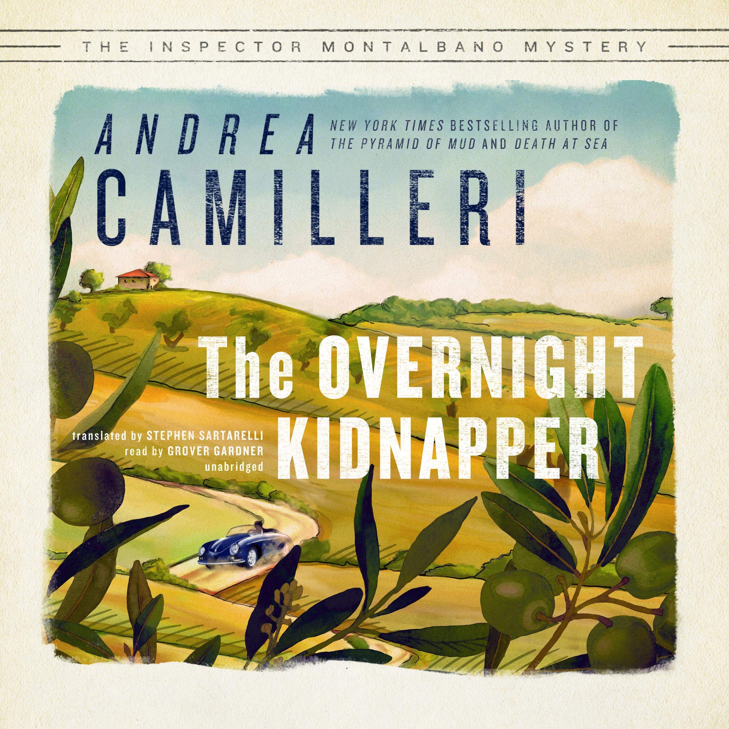 Cover art for The Overnight Kidnapper