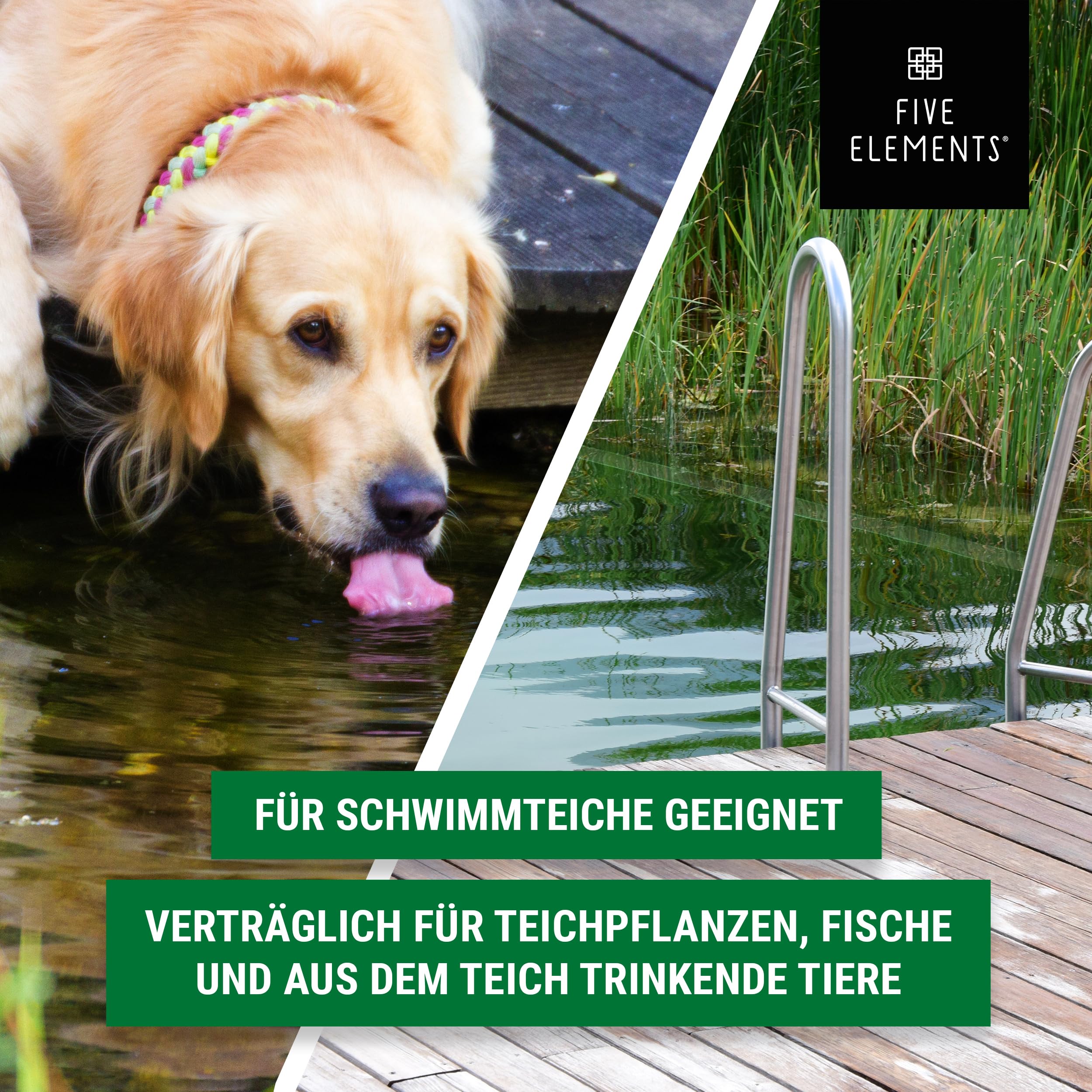 FIVE ELEMENTS® Intensiv-Algenfrei | hochwirksamer Fadenalgenvernichter für klaren Teich | für Koi-Teich geeignet | 5 kg