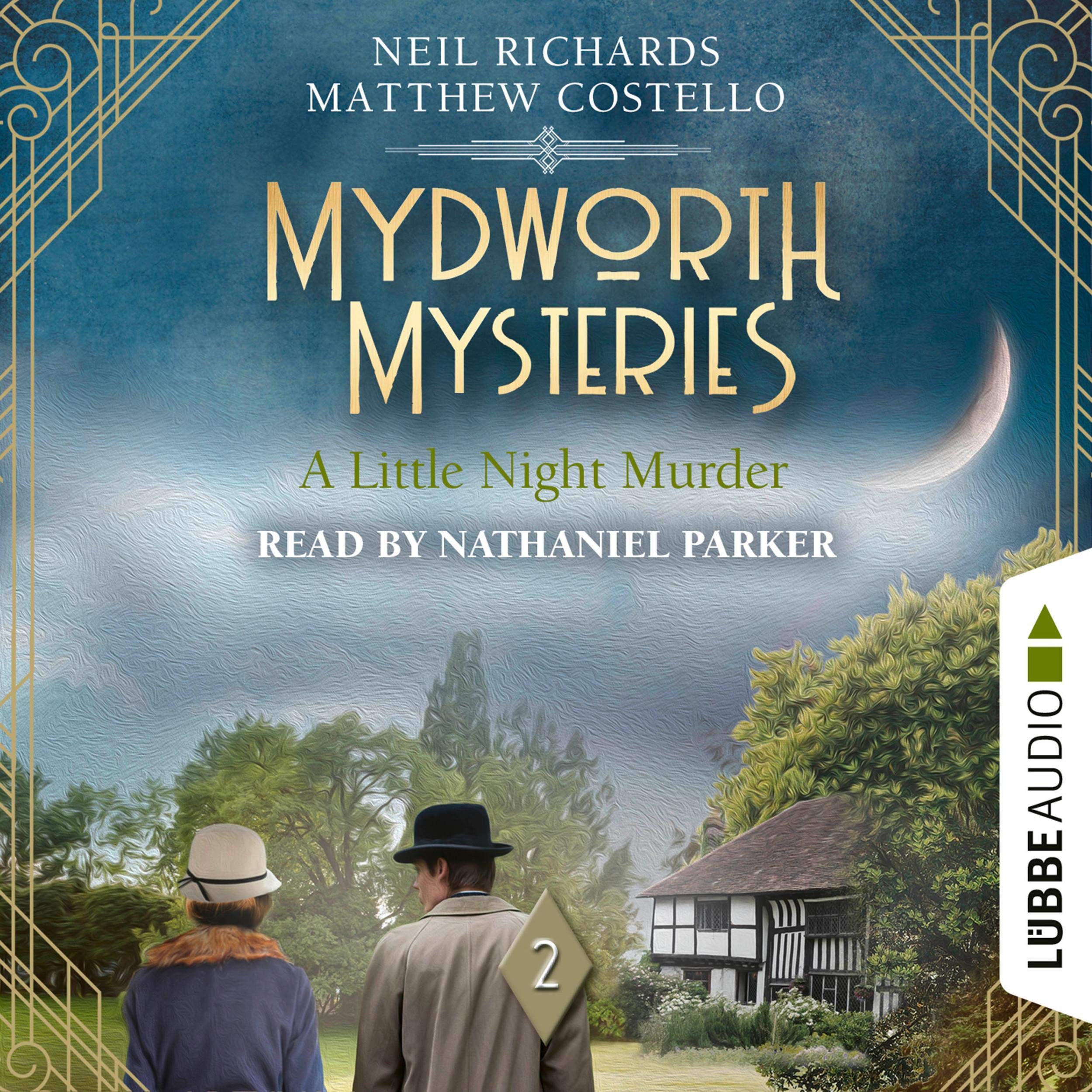 Cover art for A Little Night Murder