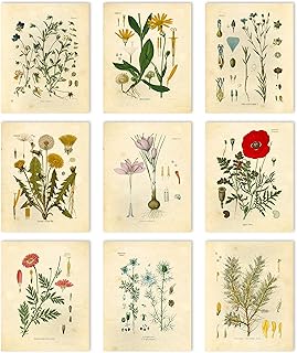 Vintage Botanical Prints | Wildflower Wall Art by Ink Inc. | Farmhouse D...