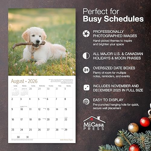 Miniatura 8 de MICASA Shih Tzu Puppies 2024 Calendario mensual colgante de pared  12 x 24 pulgadas abierto  Papel grueso y resistente  Regalo  Lindo perro  Amor de