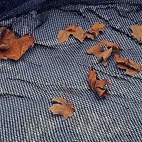 Vista 7 de Blue Wave - Cubierta redonda con red para hojas para piscina elevada, 12 pies