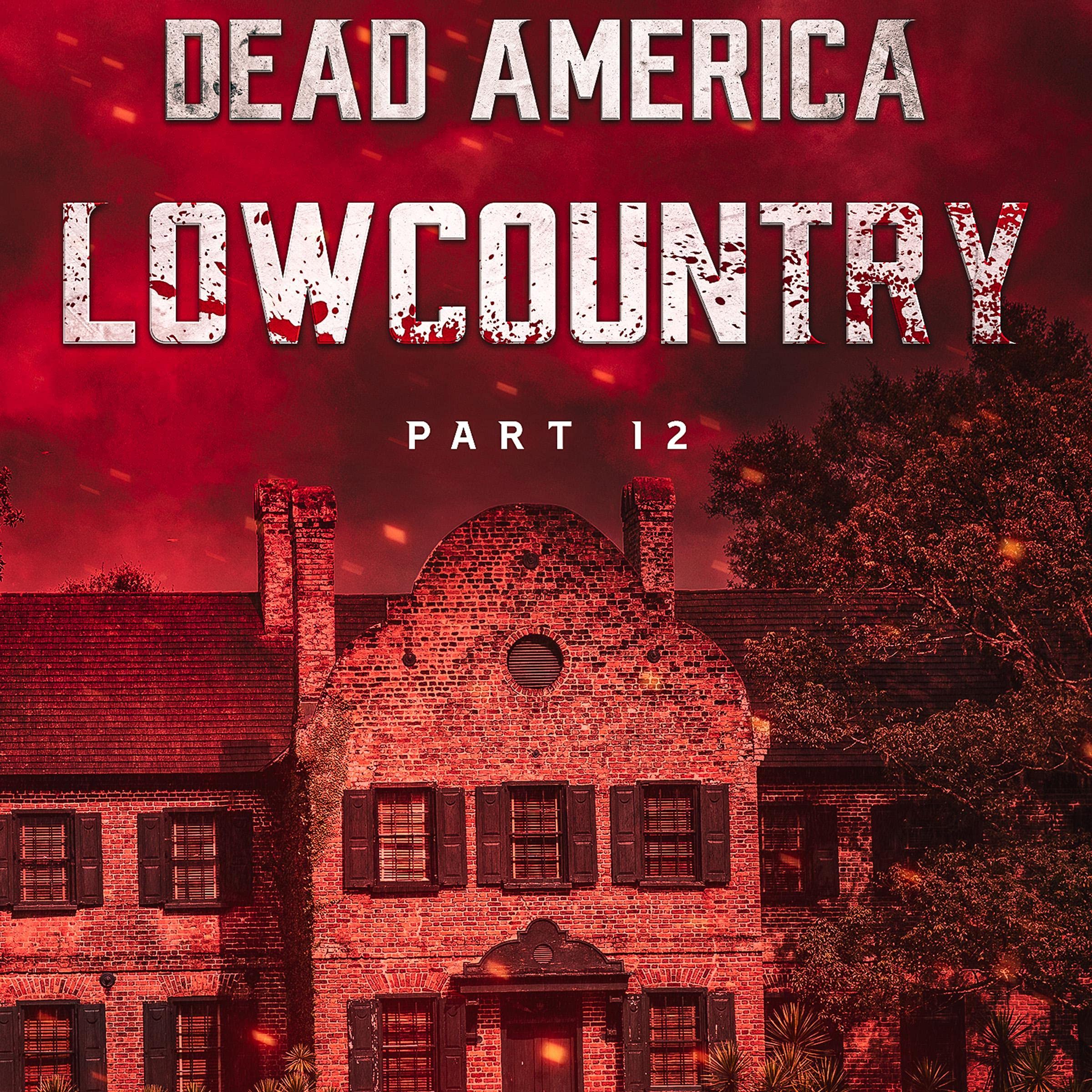Cover art for Dead America - Lowcountry: Part 12