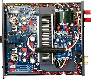 Amazon.co.jp: 3電源駆動 ハイブリッド真空管アンプ Conclusion A-10SG