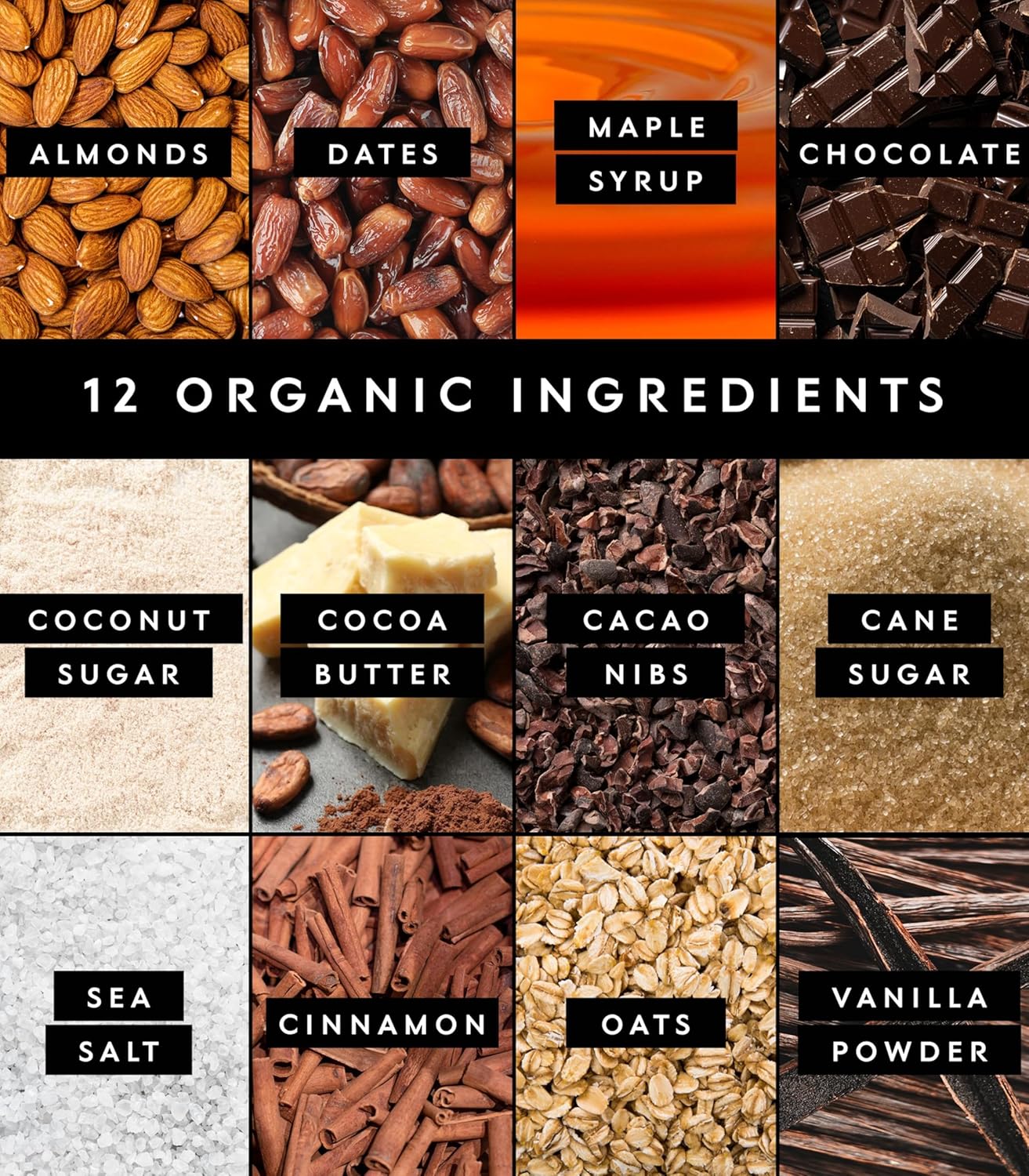 Truvani Plant Based Snack Bars | Oatmeal Chocolate Chip 12 Pack | 6g Protein | USDA Organic and Vegan | The Only Bar | Dairy, Soy, and Gluten Free | Individually Wrapped