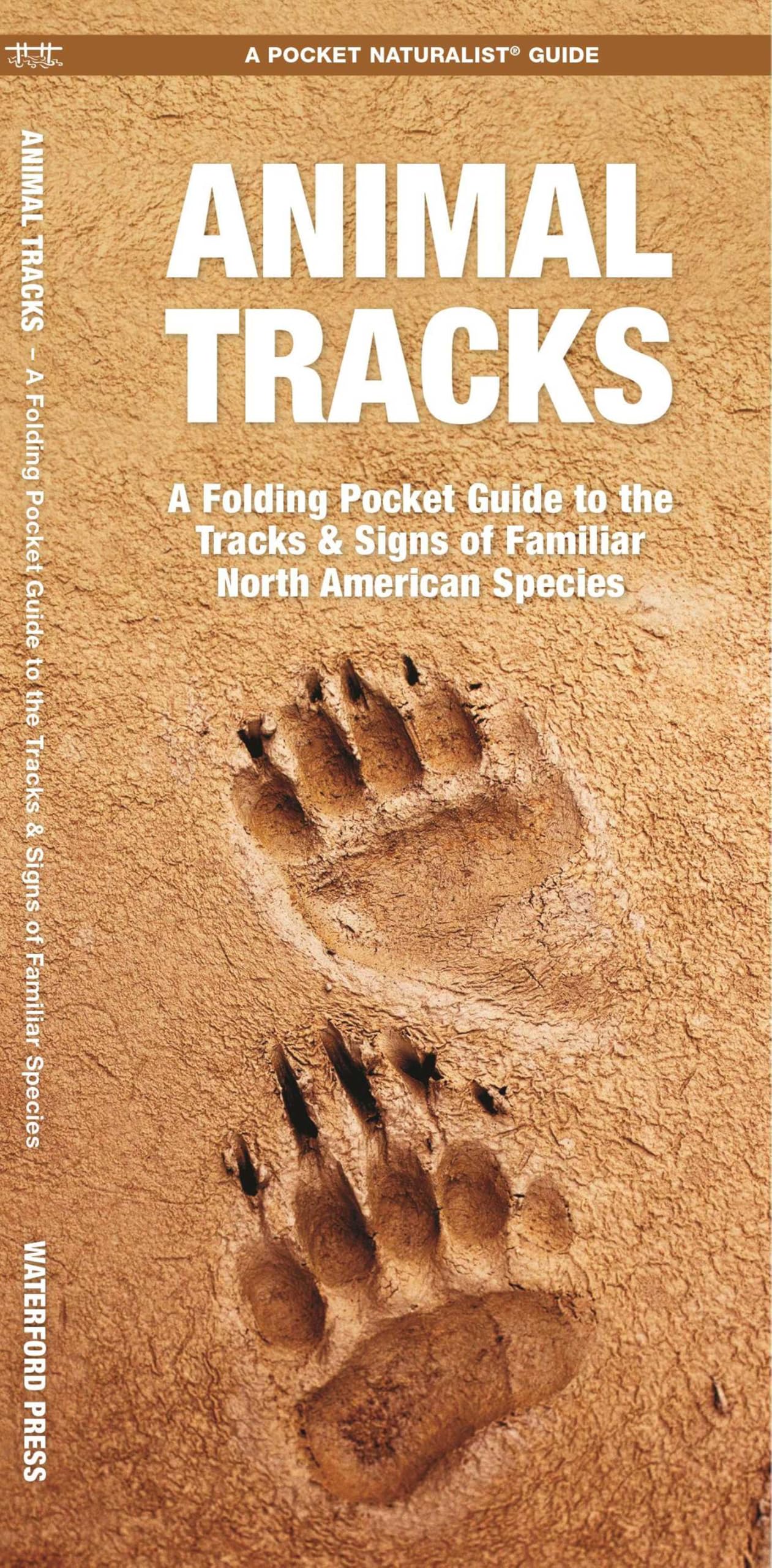 Animal Tracks: A Folding Pocket Guide to the Tracks & Signs of Familiar North American Species Pamphlet – Big Book, 1 May 2000
