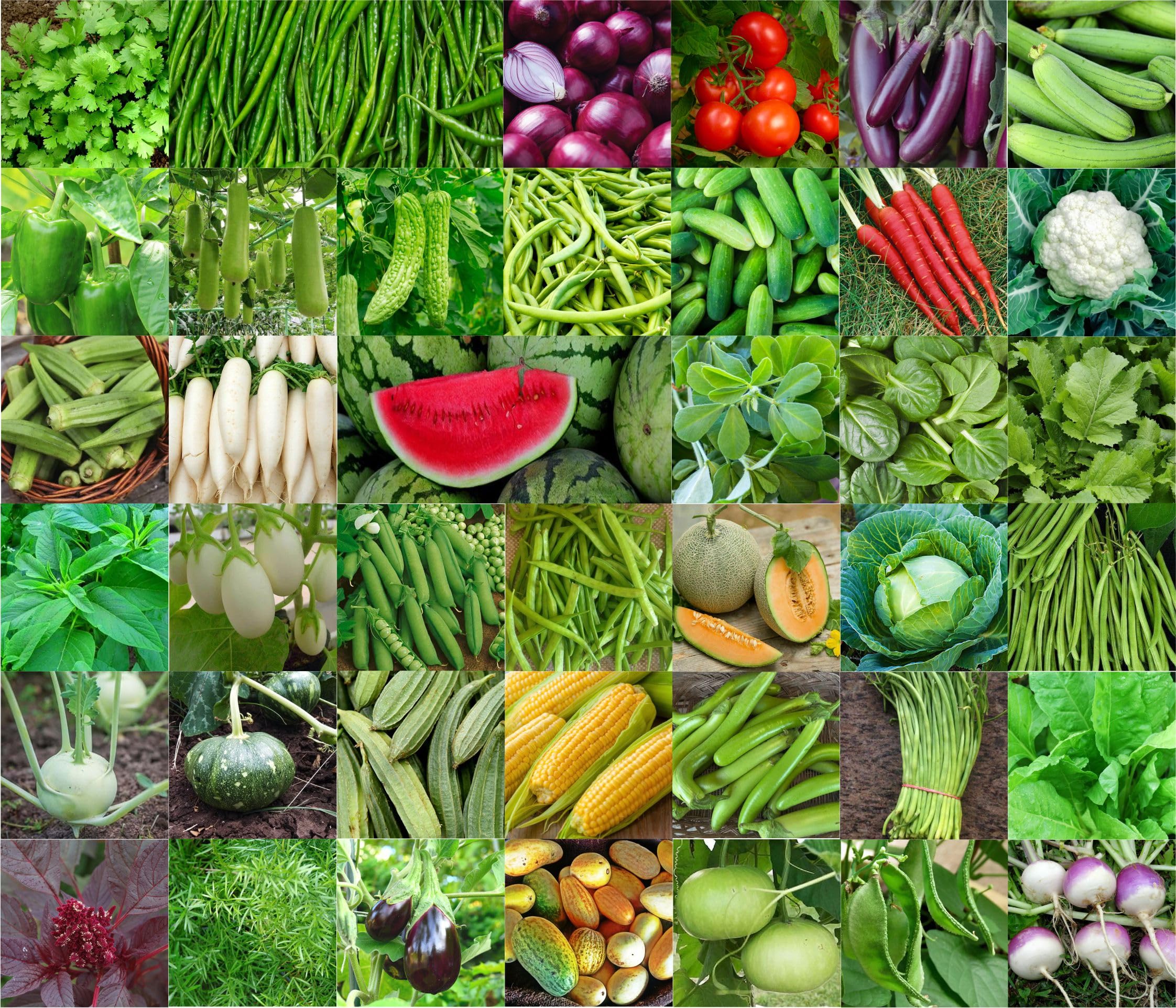 Agrey combo of 40 variety vegetable seeds with instruction manual. (B0CGNPGY9Z) Amazon Price History, Amazon Price Tracker