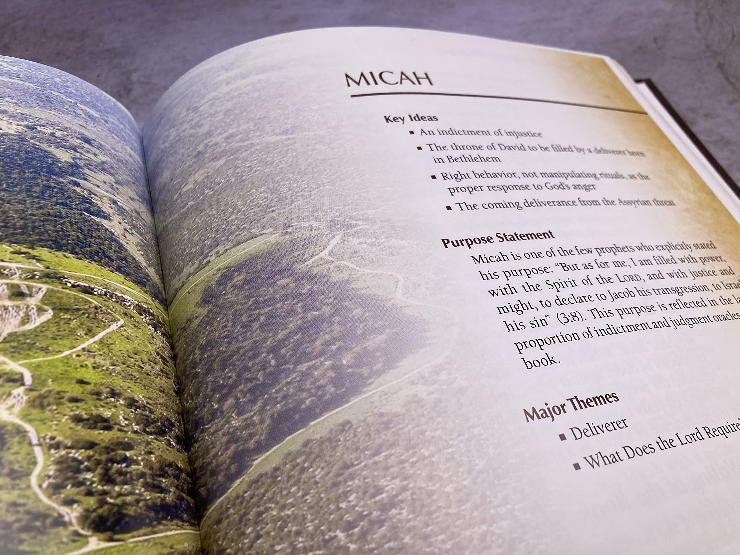 A Survey of the Old Testament - Image 7