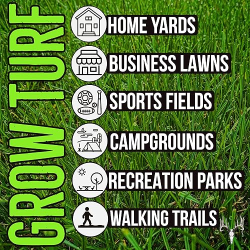 Miniatura 5 de Crooked Bend Blue Eagle Kentucky Bluegrass Seed bolsa a granel de 50 libras sin revestimiento y sin relleno crece hermosos y mejores patios espesa