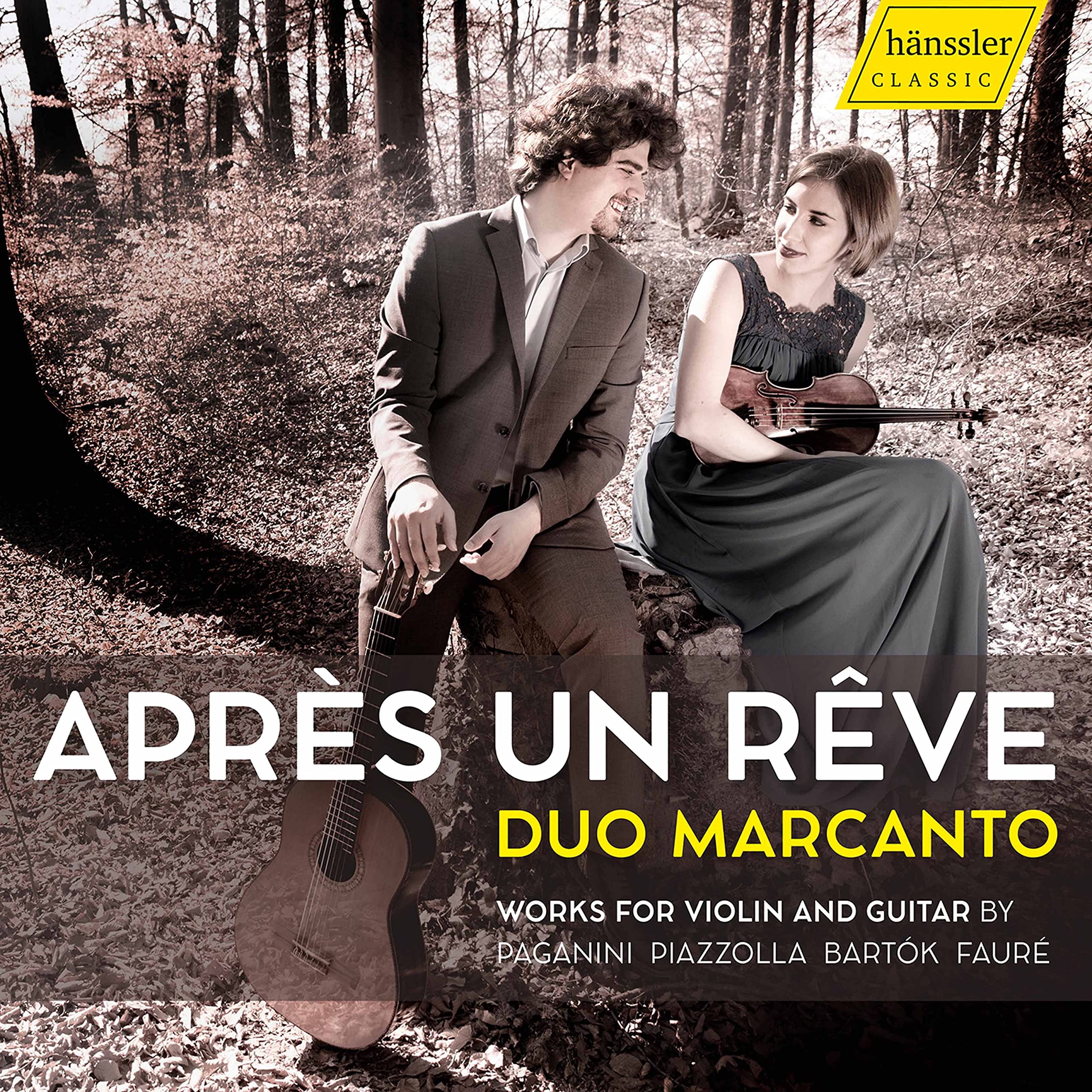 Niccolò Paganini, Francesco Molino, Friedrich Burgmüller, Astor Piazzolla, Béla Bartók, Vittorio Monti: Après un rêve