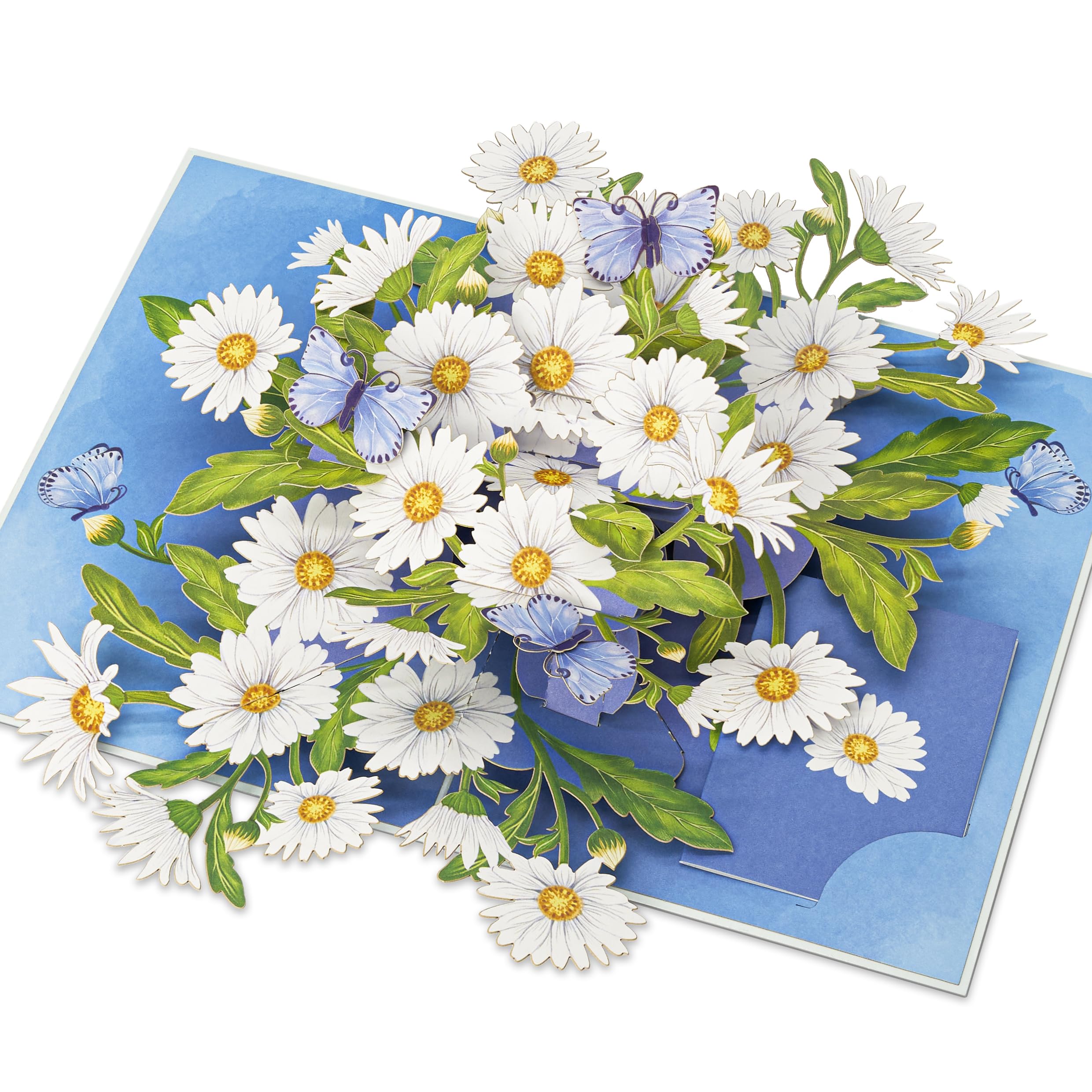 Daisy Pop Up Cards, White Daisy, Butterfly, 3D Greeting Cards, Gifts for Birthday, Mothers Day, Valentines Day, Mom, Wife, Girlfriend, Sister, 5x7 - Includes Envelope And Message Note