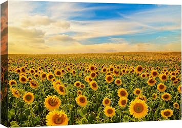 SIGNFORD Canvas Print Wall Art Summer Sunflower Field Horizon Nature Wilderness Photography Modern Art Decorative Multicolor Landscape Colorful for Living Room, Bedroom, Office - 16"x24"