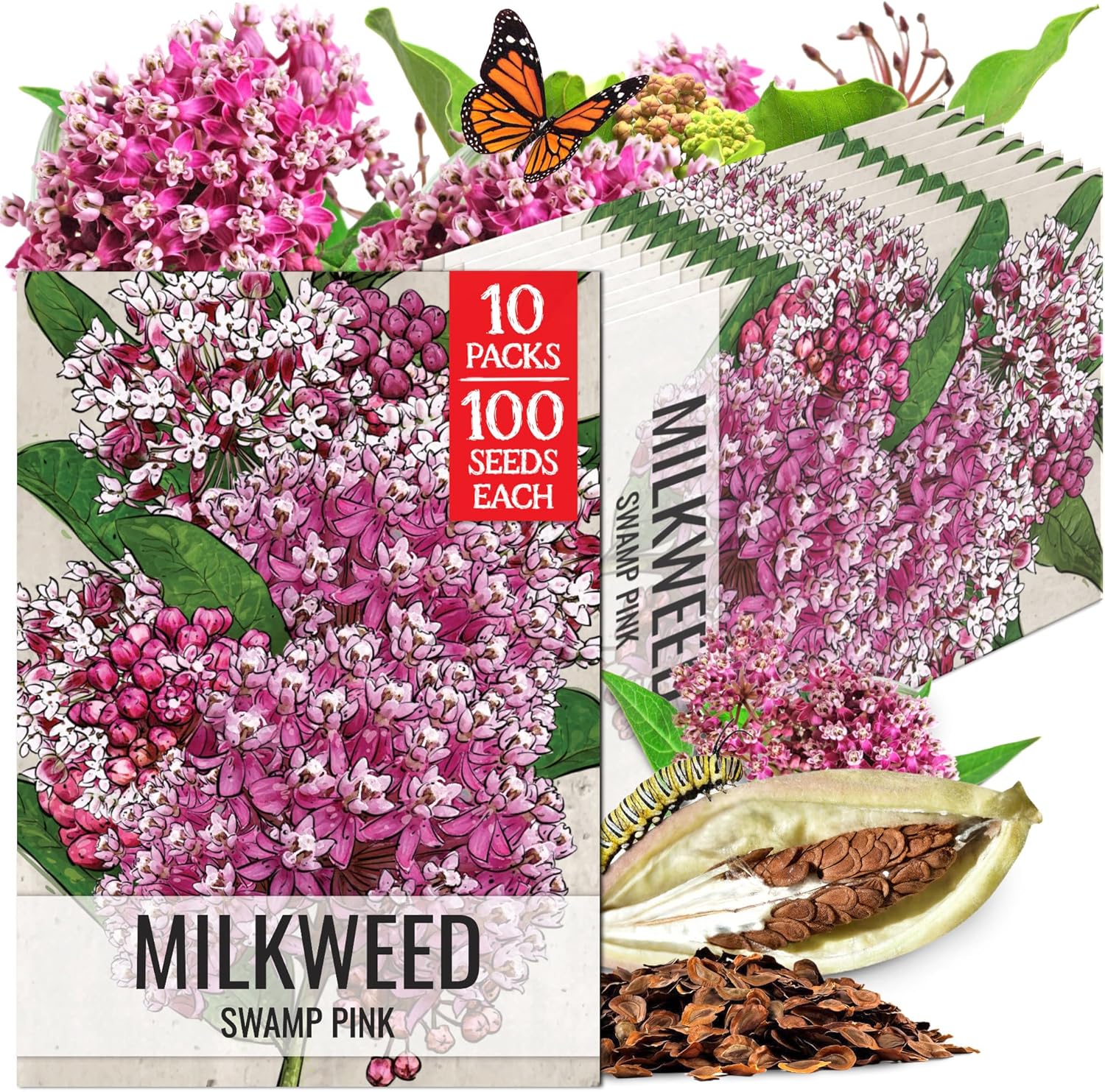 Seed Needs Milkweed Seeds for Planting Pink Swamp Asclepias incarnata - Heirloom & Untreated Perennial Flower Seed to Plant a Monarch Butterfly Garden (10 Packs)