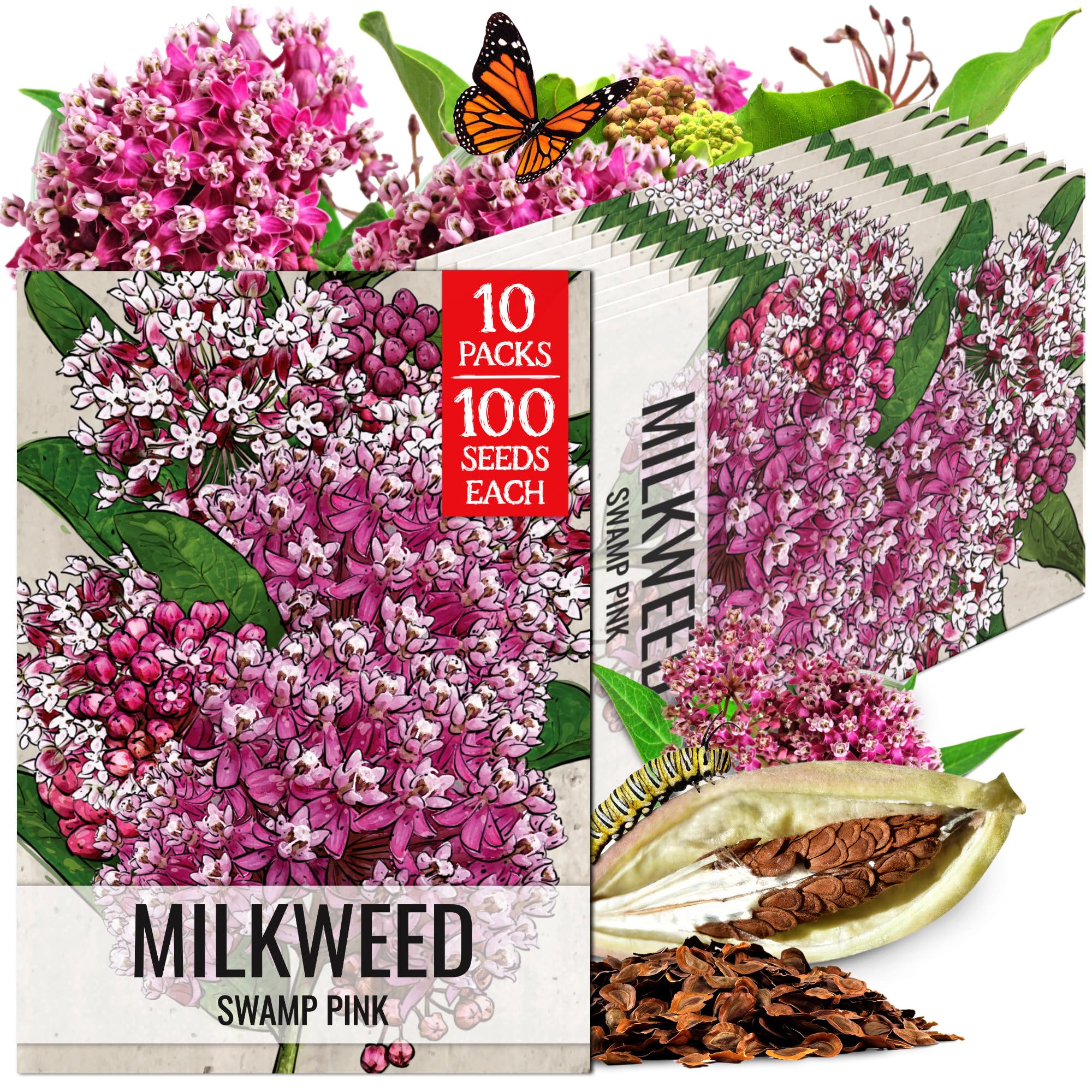 Seed Needs Pink Swamp Milkweed Seeds for Monarch Butterflies 10 Pack