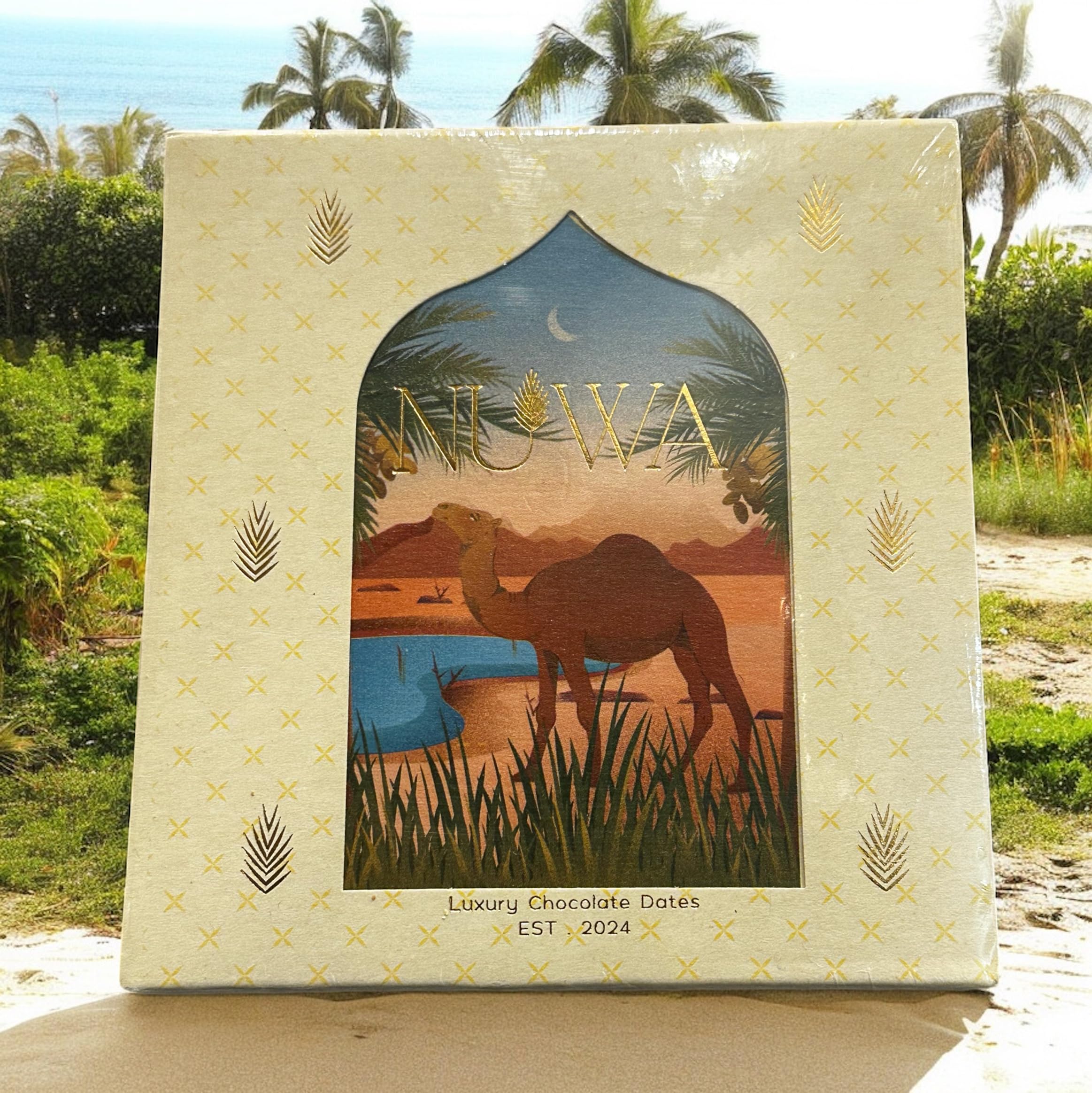 Nuwa™ Luxury Chocolate Dates - Organic Longevity (Medium - 15pcs) Handmade in Riyadh - Assorted Half Coated Filled with Milk/Dark Luxurious Belgian Chocolate Covered Treats - Mejdoul Ajwa Sukkari (M)