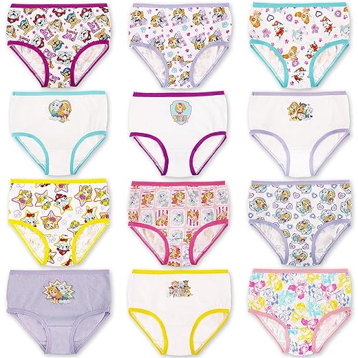 Paw Patrol Girls 12-days Advent Underwear To Make The Holidays And Potty Training Fun, Available In Sizes 2/3t, 4t 5t Briefs, Paw Tg 12pk_box, 2-3T US