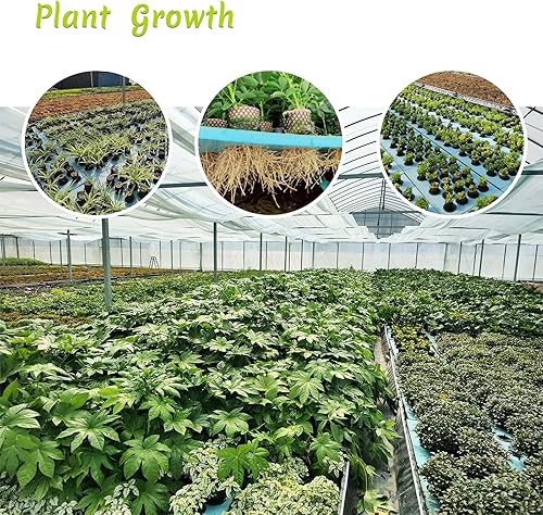 Miniatura 7 de 6 cápsulas hidropónicas, esponja hidropónica compatible con varios sistemas de plantación Aero-Garden, esponja de repuesto para crecimiento de