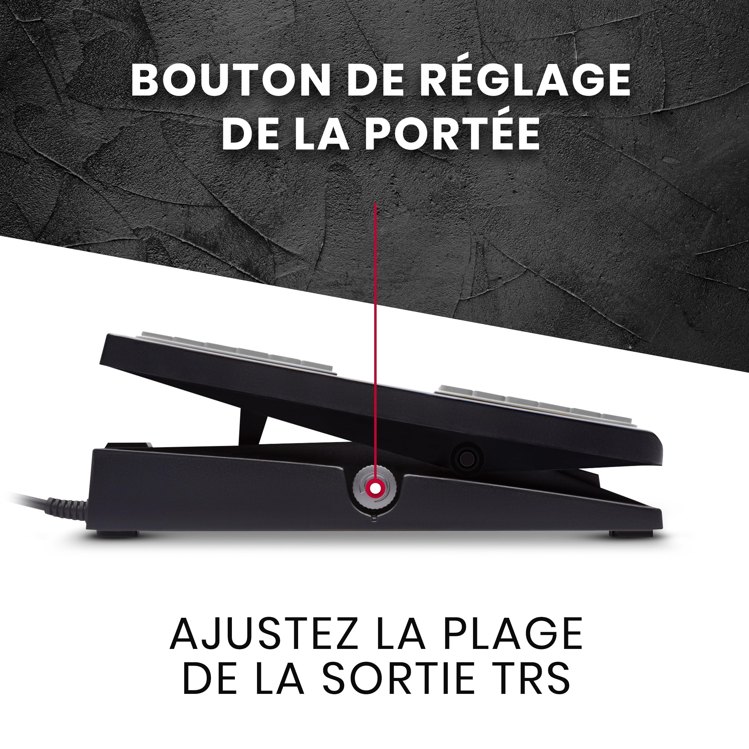 M-AUDIO EX-P - Pédale d’Expression Universelle pour Claviers, Claviers/Contrôleurs MIDI et Pédales d’Effets de Guitare Compatibles avec Commutateur de Polarité Intégré