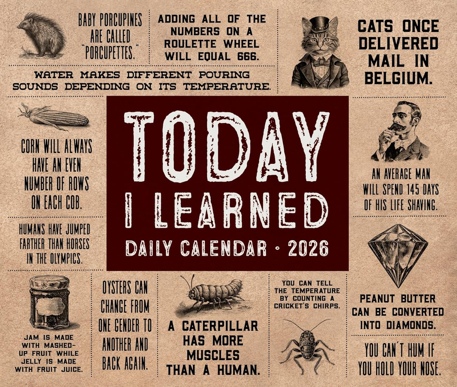 Today I Learned Til 2026 5 4 X 6 2 Box Calendar Willow Creek Press today-i-learned-til-2026-5-4-x-6-2-box-calendar-willow-creek-press