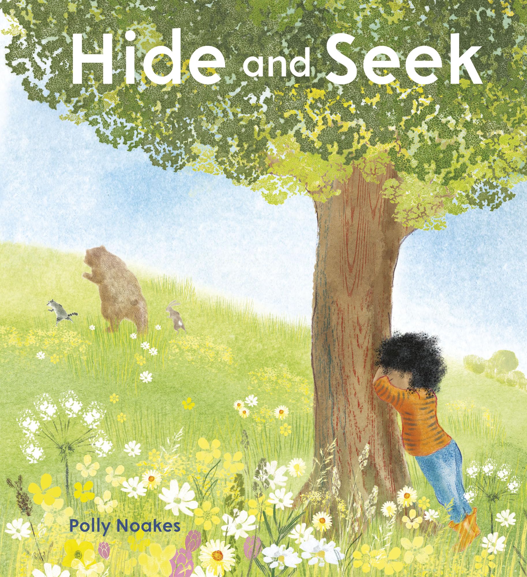 Hide and Seek by Polly Noakes PAPERBACK 9781786281814