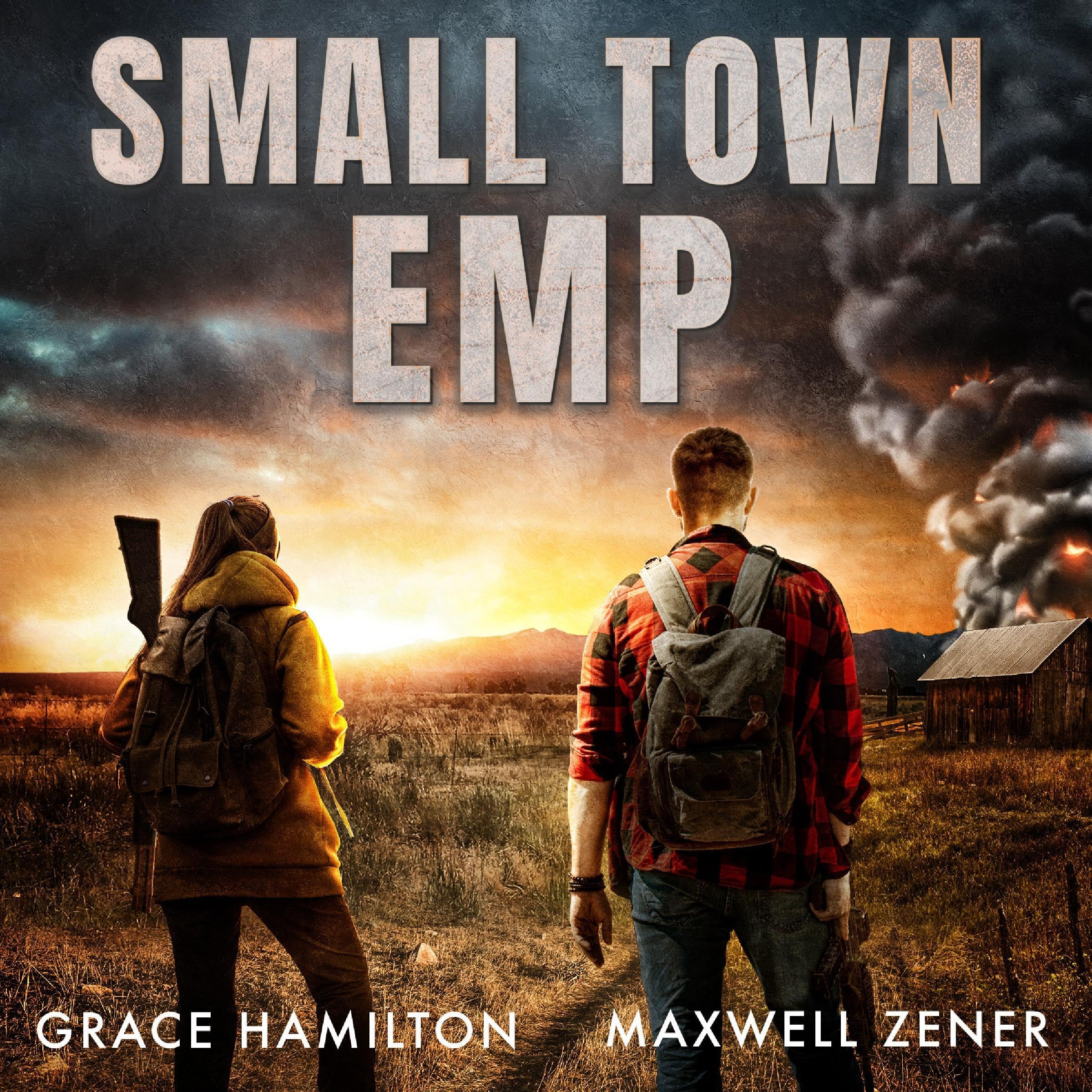 Cover art for Small Town EMP